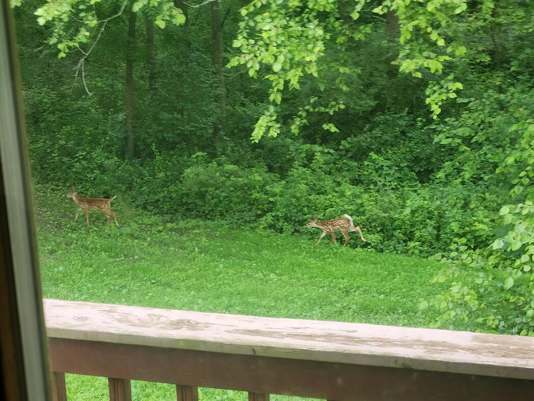 28890 County 25 Rushford MN 55962 1949930 image41