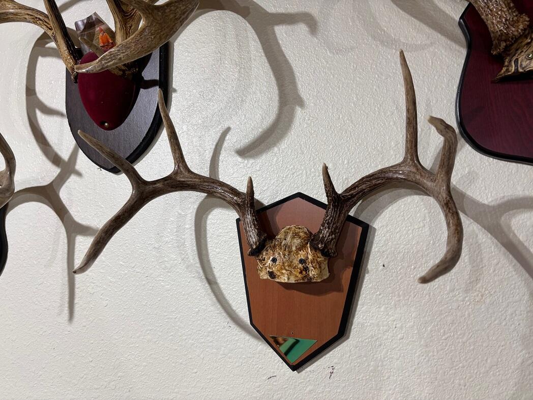 28890 County 25 Rushford MN 55962 1949930 image43