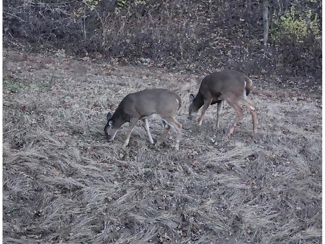 28890 County 25 Rushford MN 55962 1949930 image47