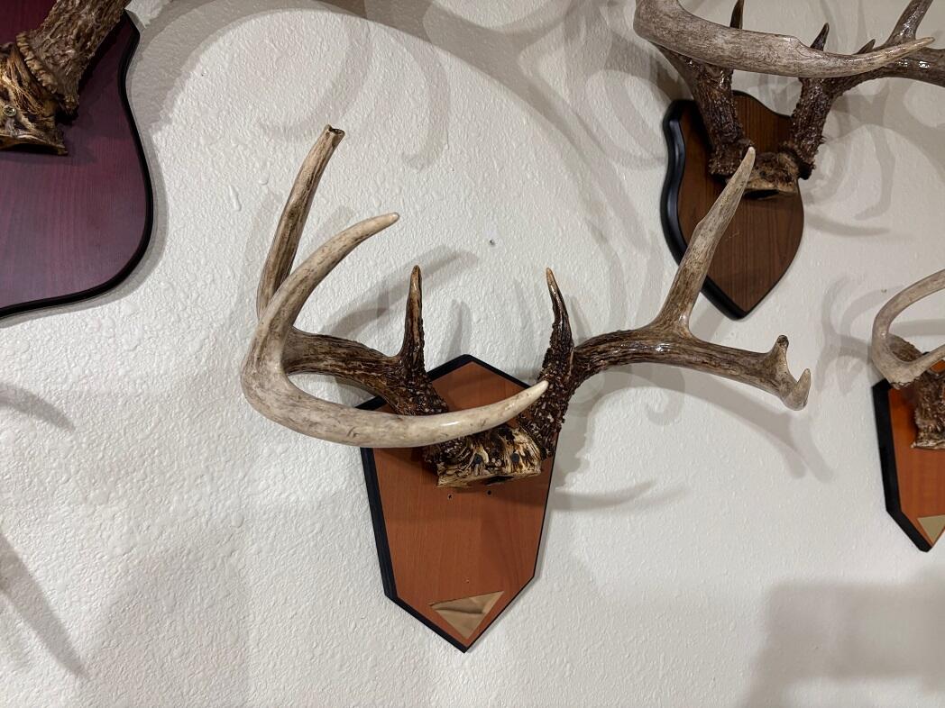 28890 County 25 Rushford MN 55962 1949930 image49