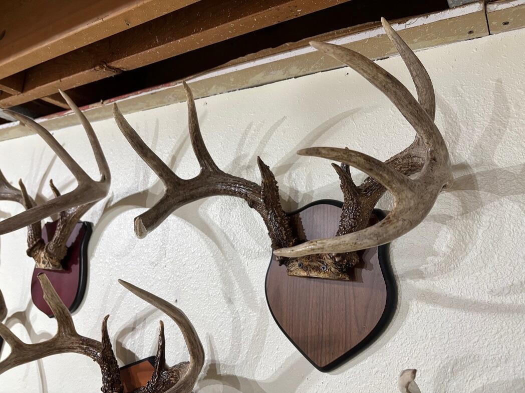 28890 County 25 Rushford MN 55962 1949930 image51