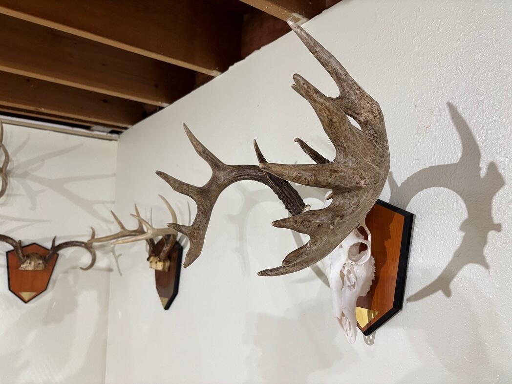 28890 County 25 Rushford MN 55962 1949930 image55