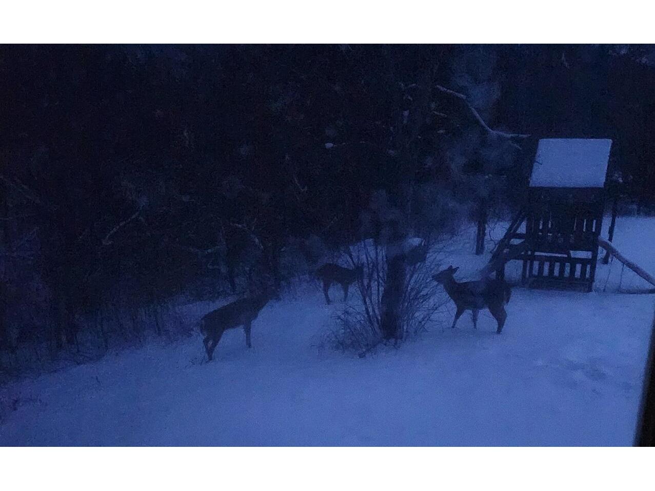 28890 County 25 Rushford MN 55962 1949930 image60