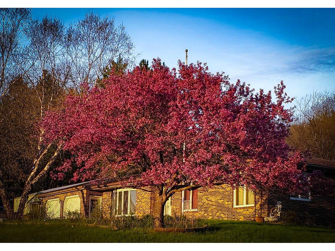 28890 County 25 Rushford MN 55962 1949930 image65