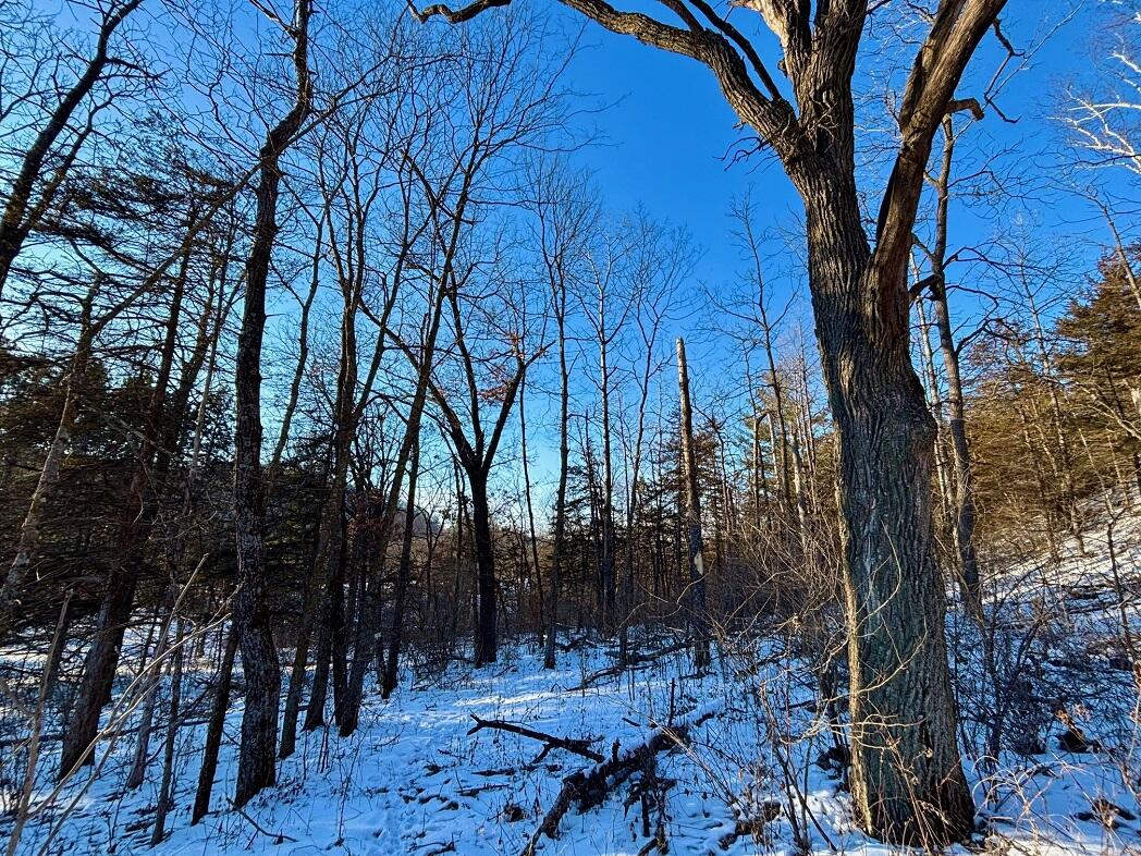 28890 County 25 Rushford MN 55962 1949930 image66