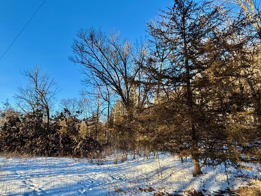 28890 County 25 Rushford MN 55962 1949930 image67