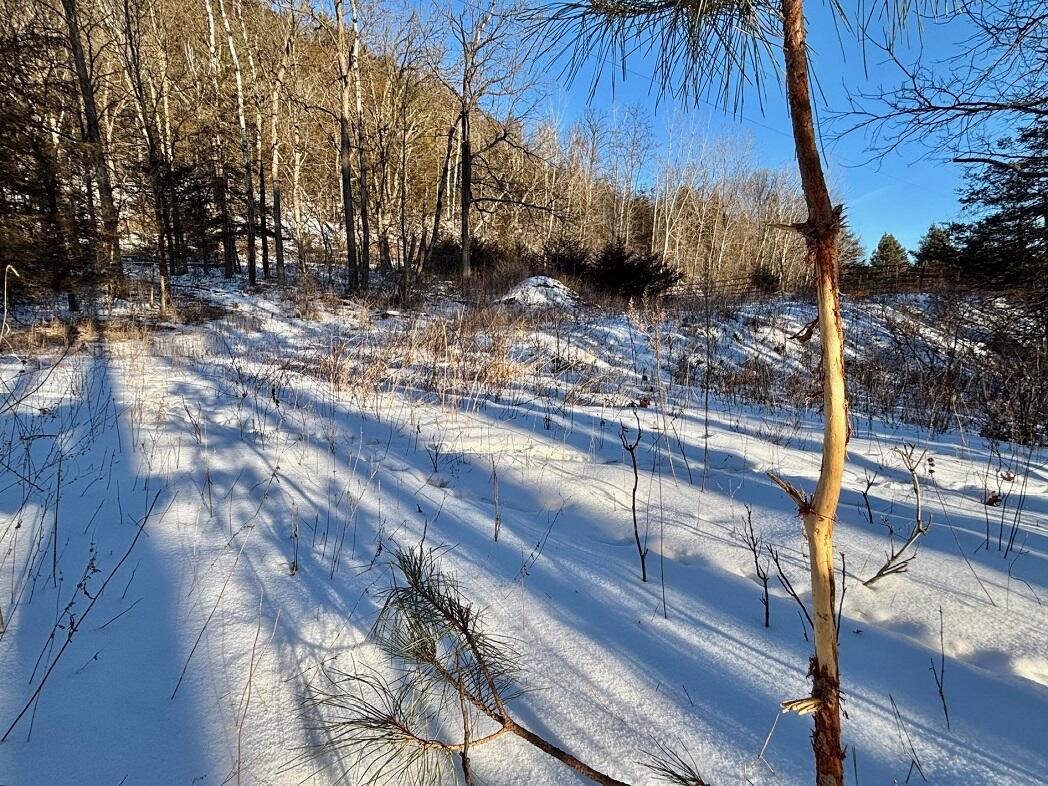 28890 County 25 Rushford MN 55962 1949930 image69