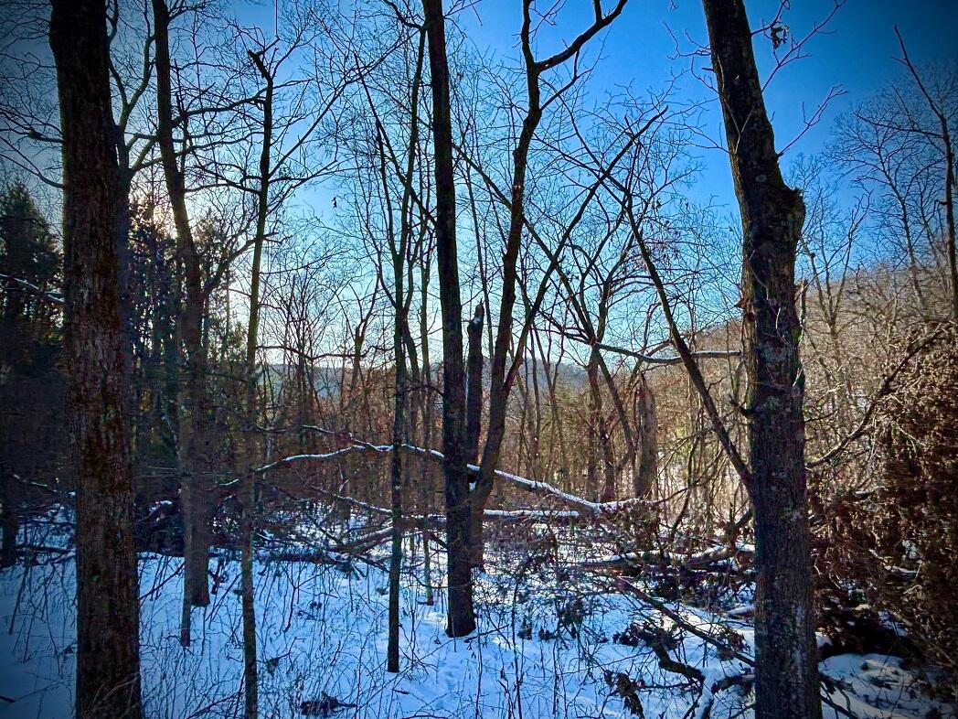 28890 County 25 Rushford MN 55962 1949930 image79