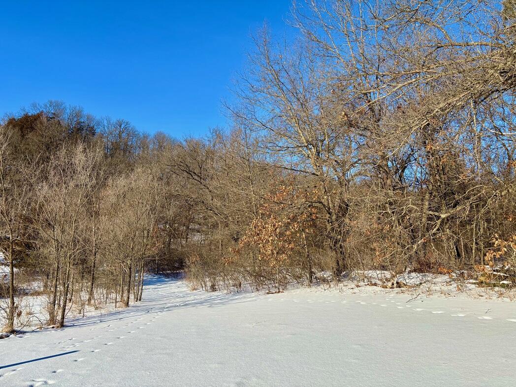 28890 County 25 Rushford MN 55962 1949930 image81