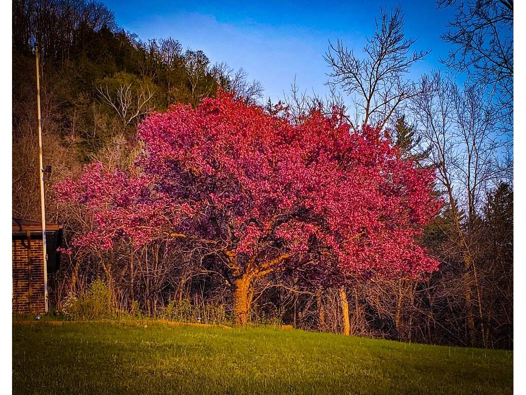 28890 County 25 Rushford MN 55962 1949930 image82