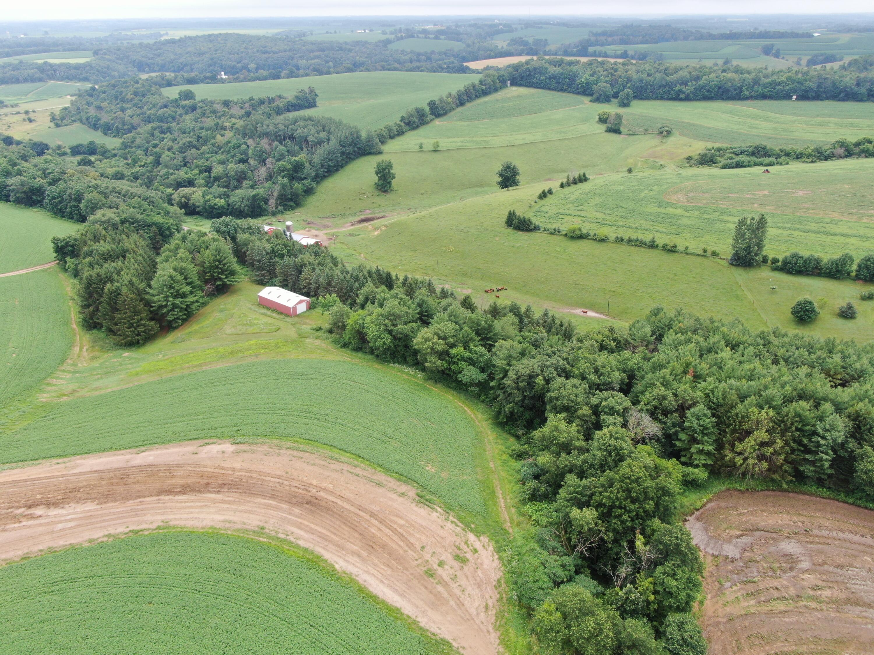 29998 County HWY II Westford WI 53924 1947148 image7