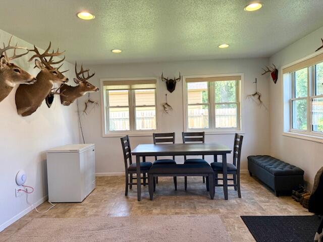 307 Main Caledonia MN 55921 1928162 image9