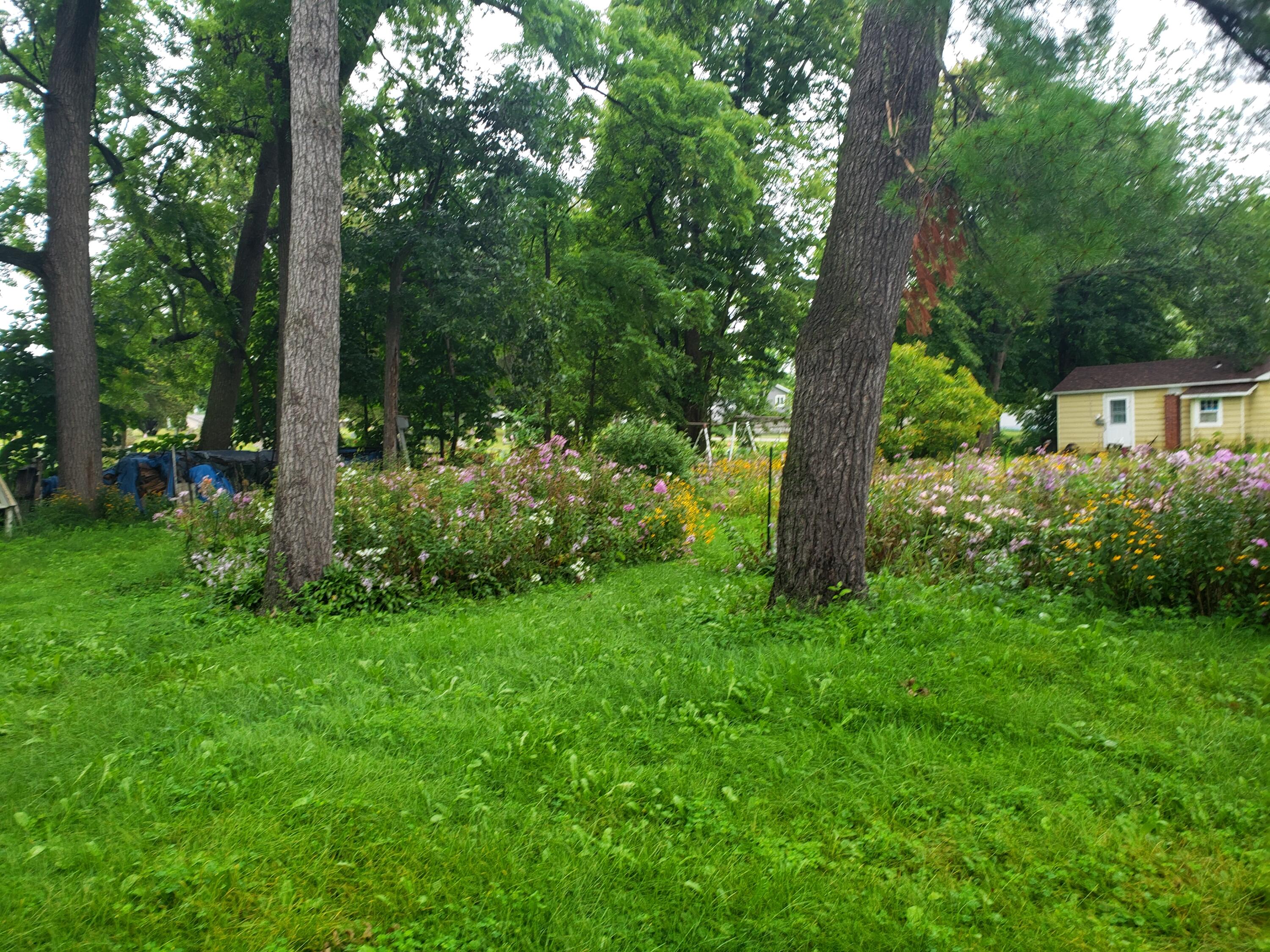 310 Condit Sparta WI 54656 1922045 image26