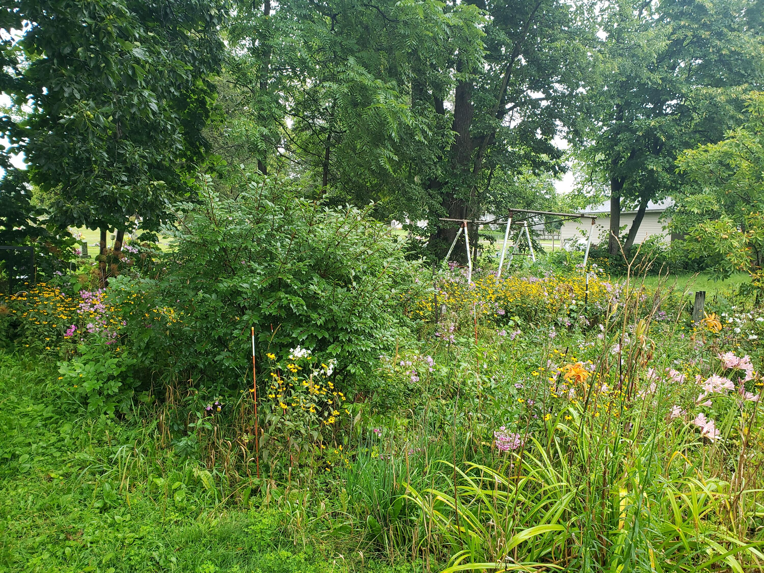 310 Condit Sparta WI 54656 1922045 image28