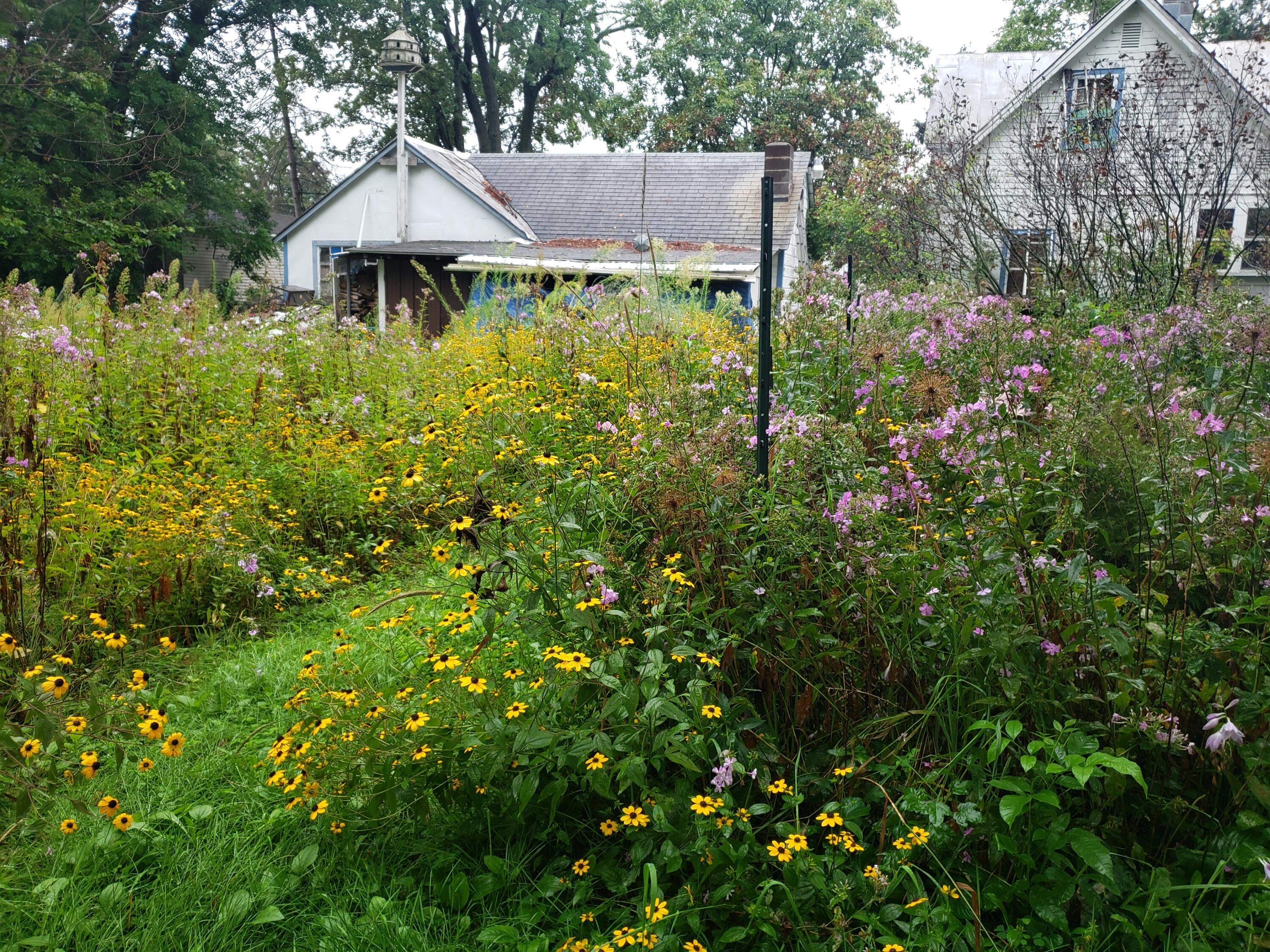 310 Condit Sparta WI 54656 1922045 image29