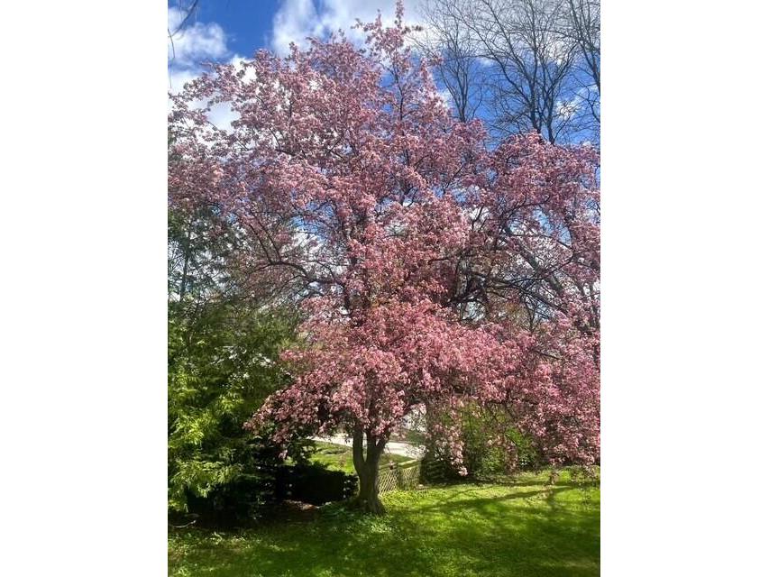 329 S Lincoln Viroqua WI 54665 1970019 image21