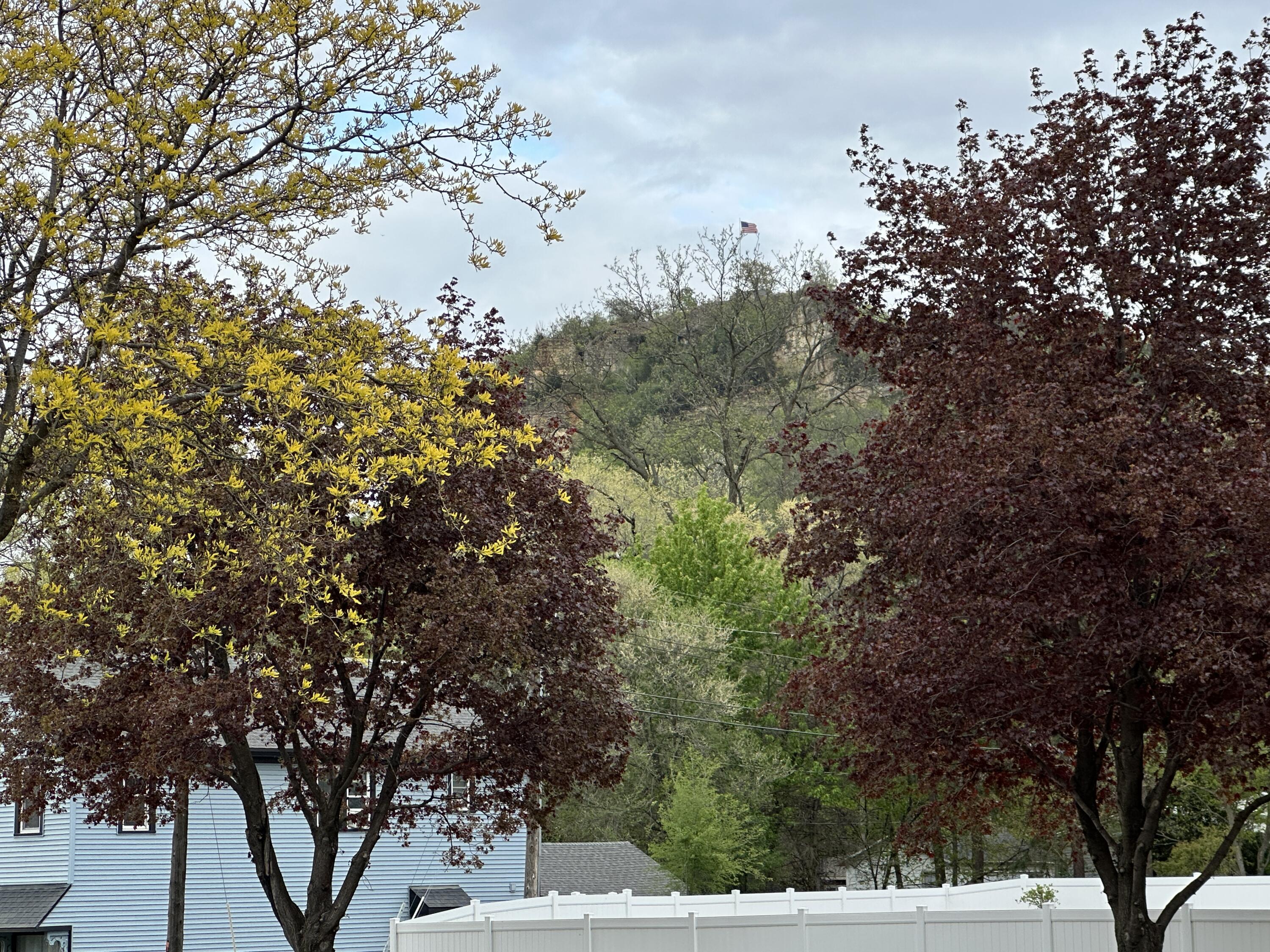 346 Losey La Crosse WI 54601 1961243 image29