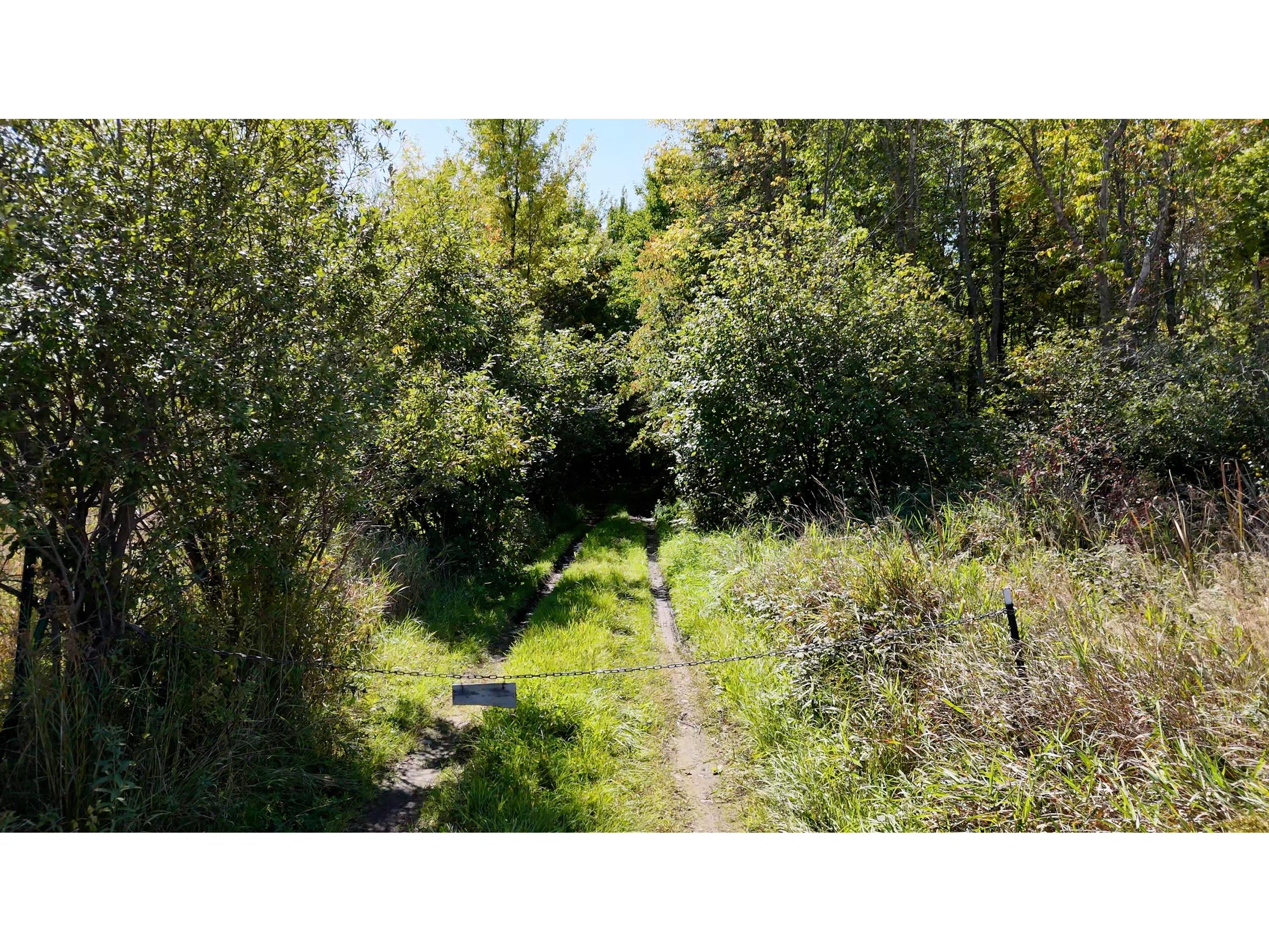 35515 310th Ruby WI 54766 1949937 image10