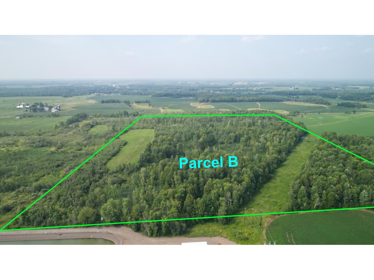 35515 310th Ruby WI 54766 1949937 image15