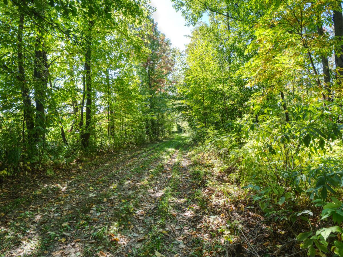 35515 310th Ruby WI 54766 1949937 image9