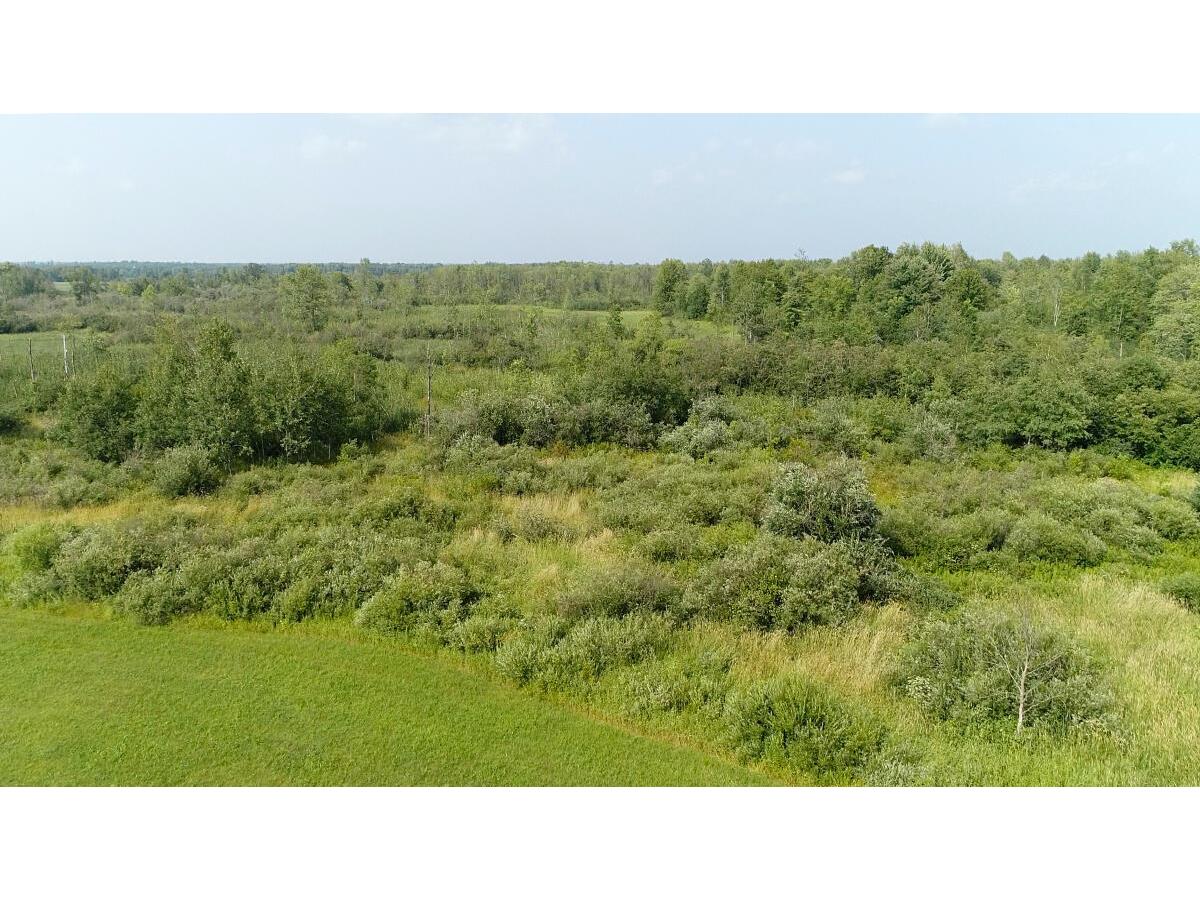 35515 310th Ruby WI 54766 1949941 image4