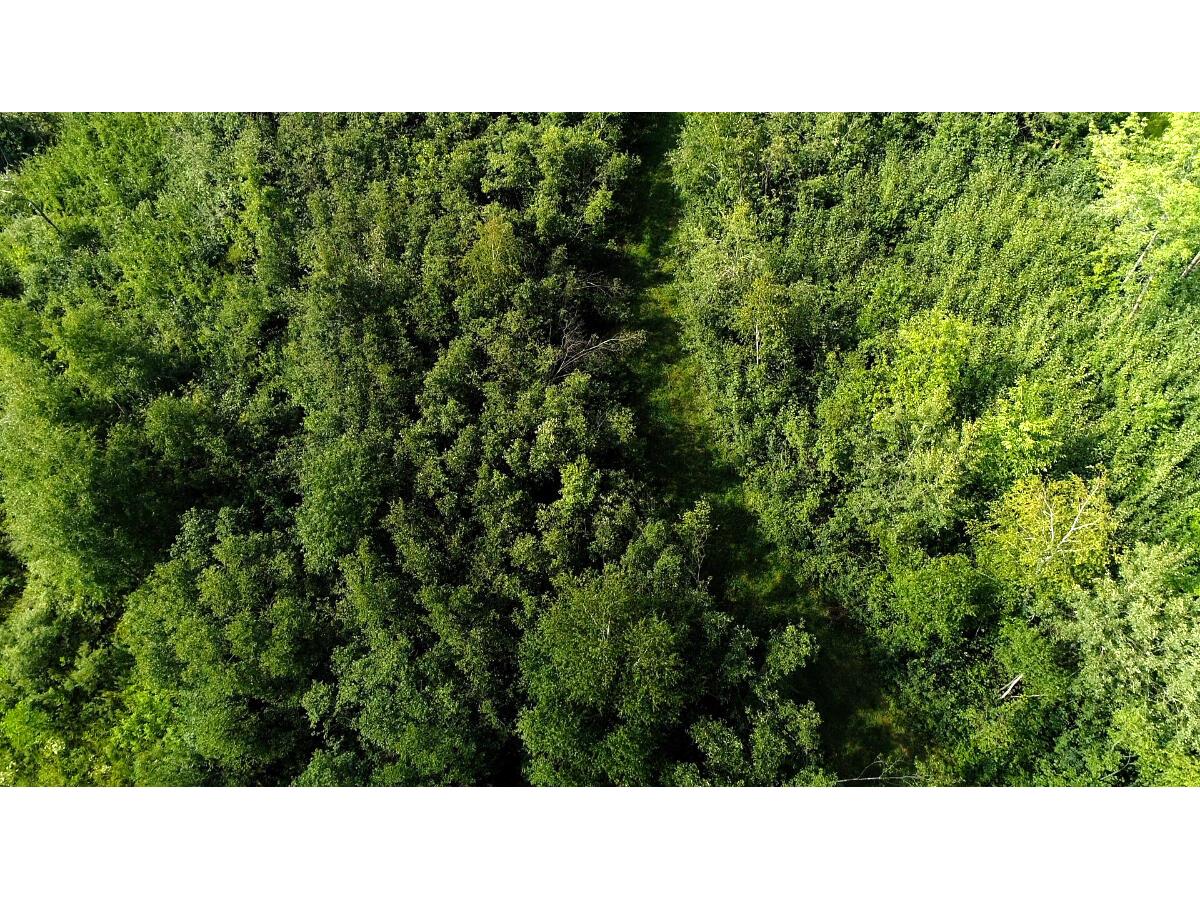 35515 310th Ruby WI 54766 1949941 image6