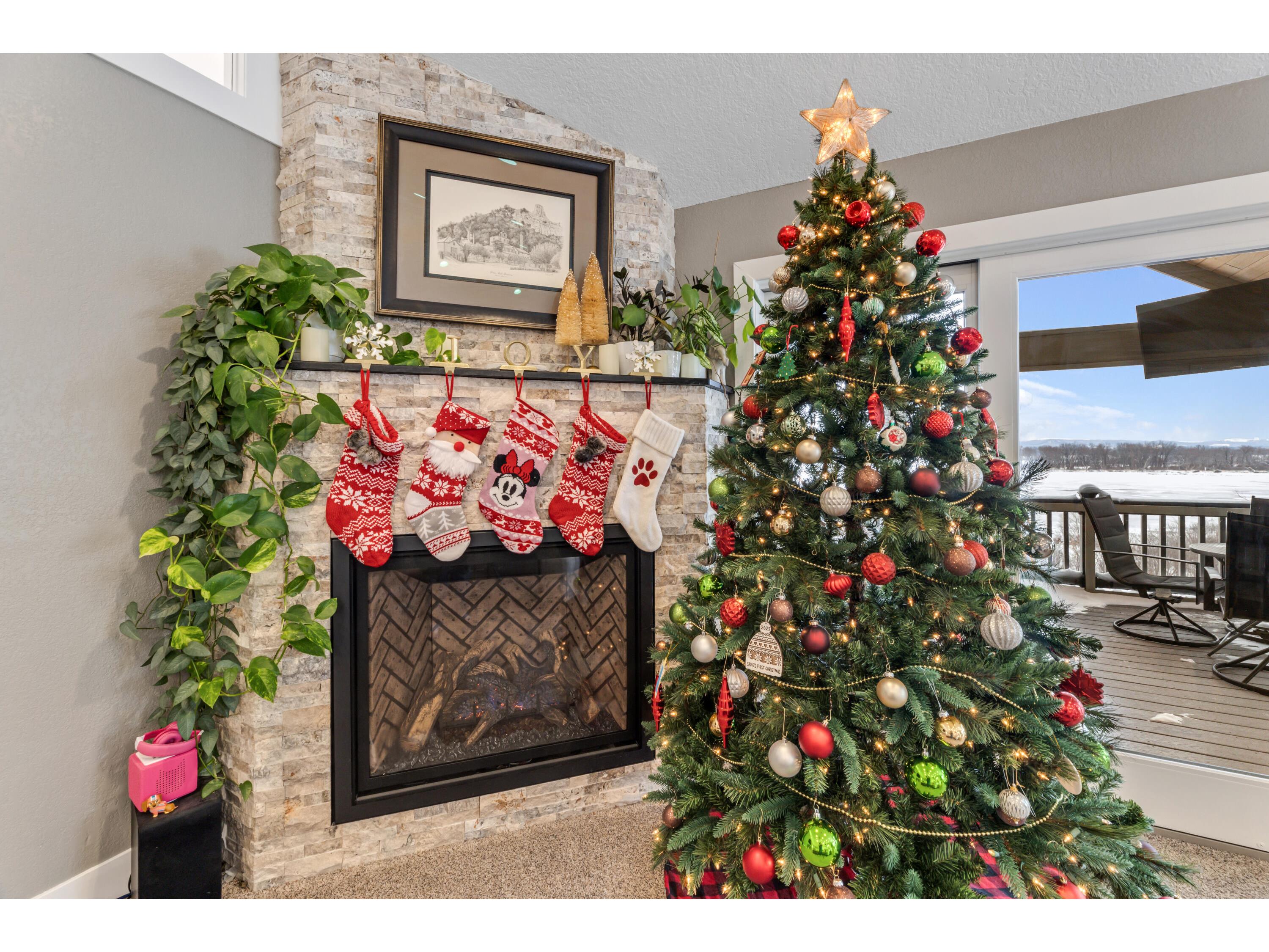 36074 Old Homer Homer MN 55987 1945053 image10