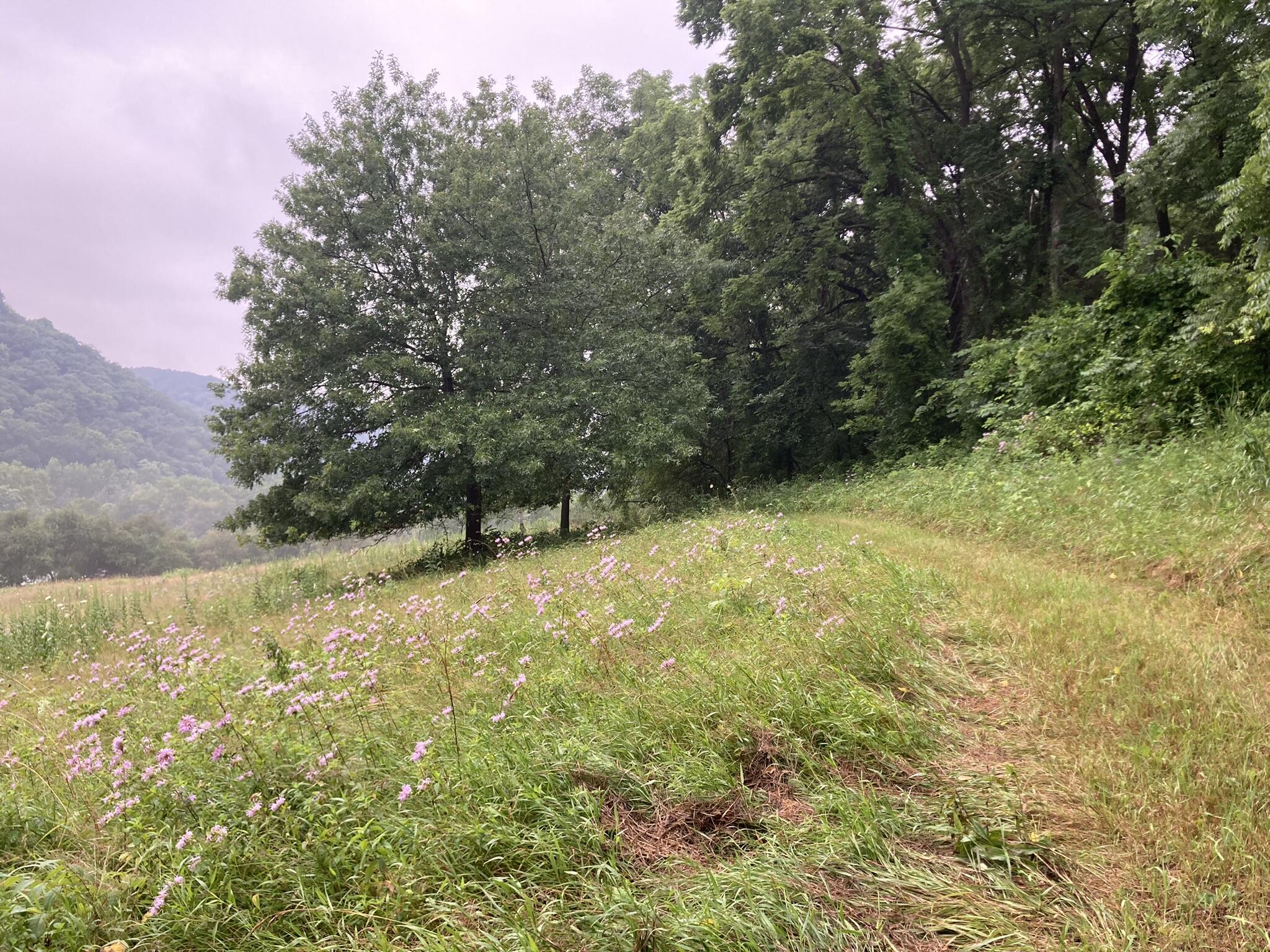 36415 Homer Valley Homer MN 55987 1930646 image58