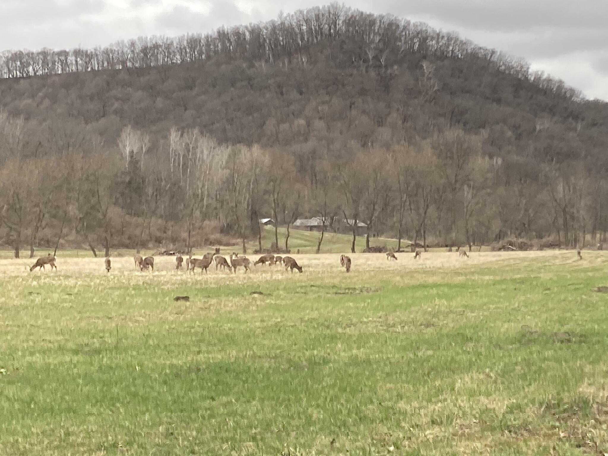 36415 Homer Valley Homer MN 55987 1930646 image65