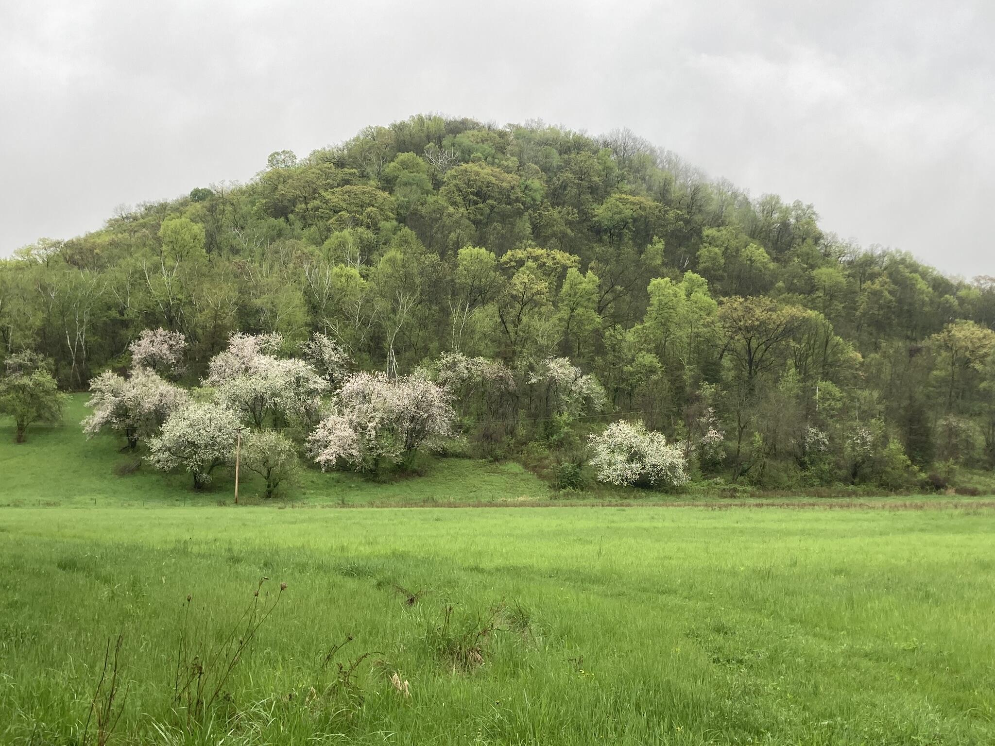 36415 Homer Valley Homer MN 55987 1930646 image67