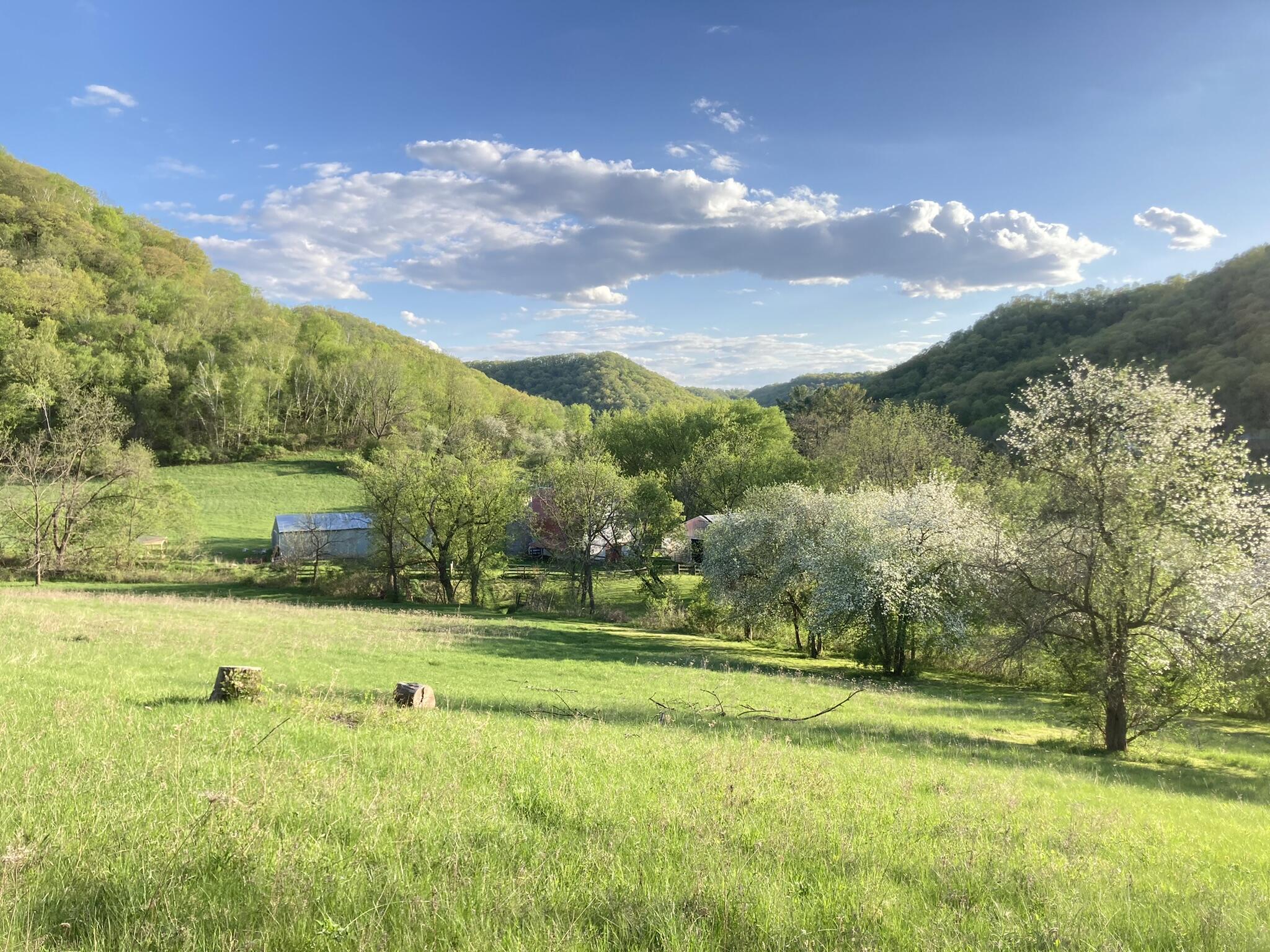 36415 Homer Valley Homer MN 55987 1930646 image68