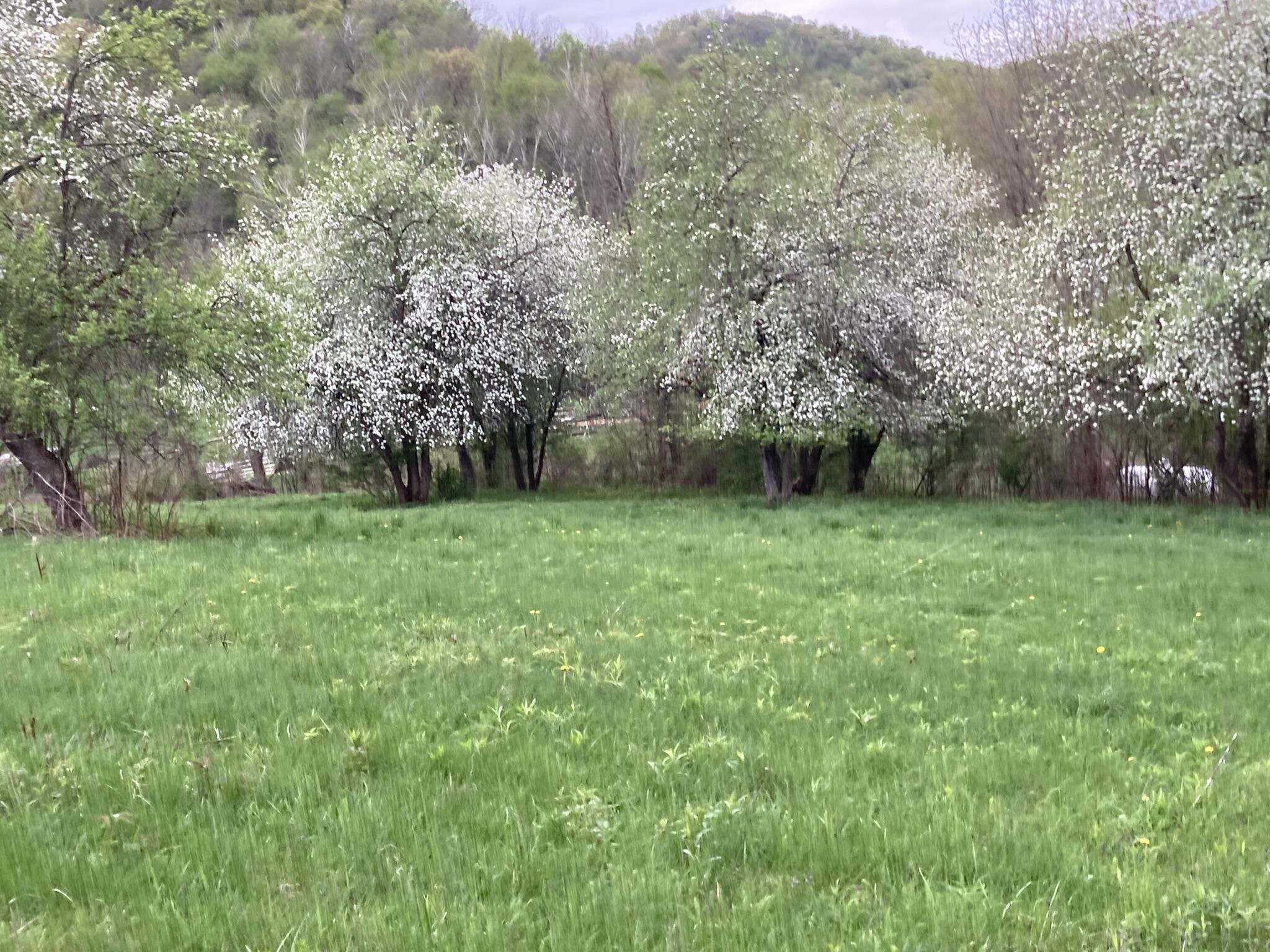 36415 Homer Valley Homer MN 55987 1930646 image69