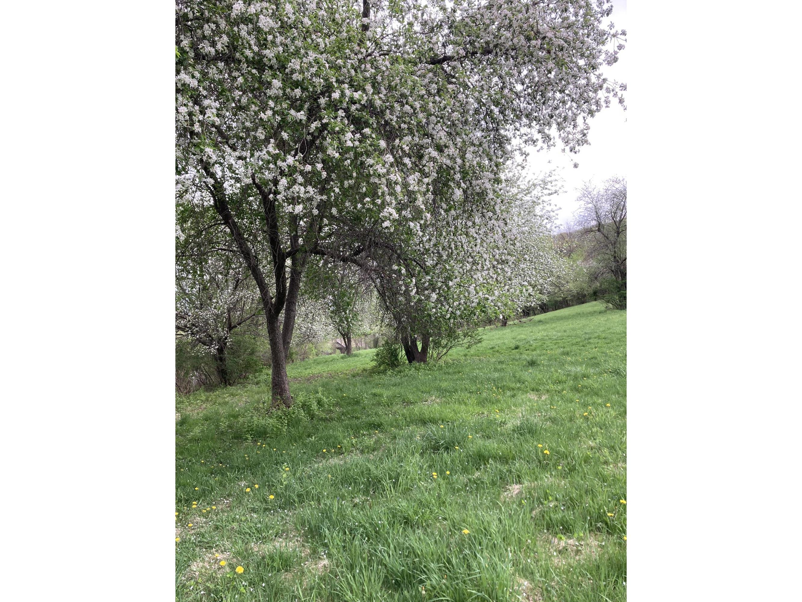 36415 Homer Valley Homer MN 55987 1930646 image70