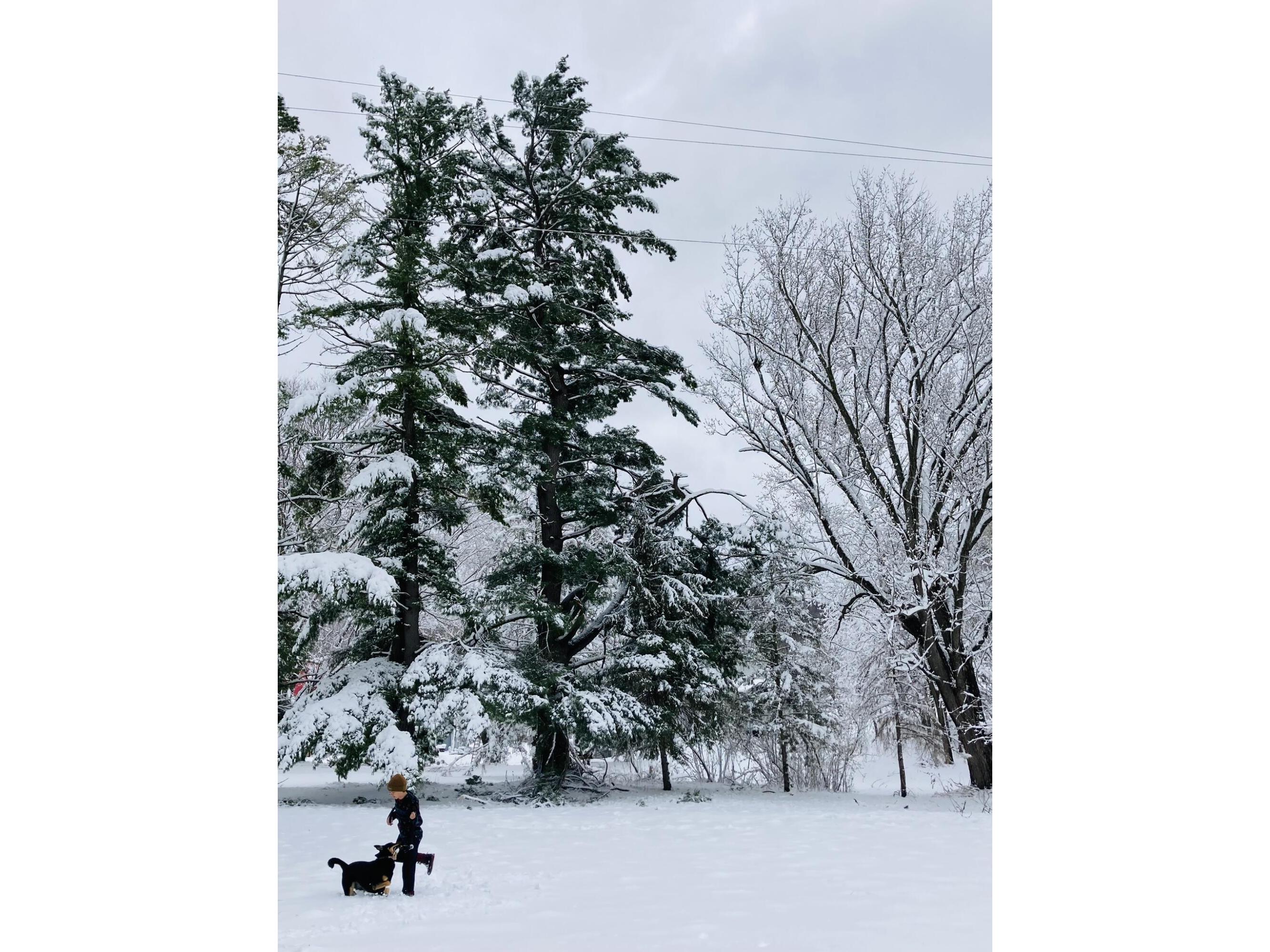 36415 Homer Valley Homer MN 55987 1930646 image74