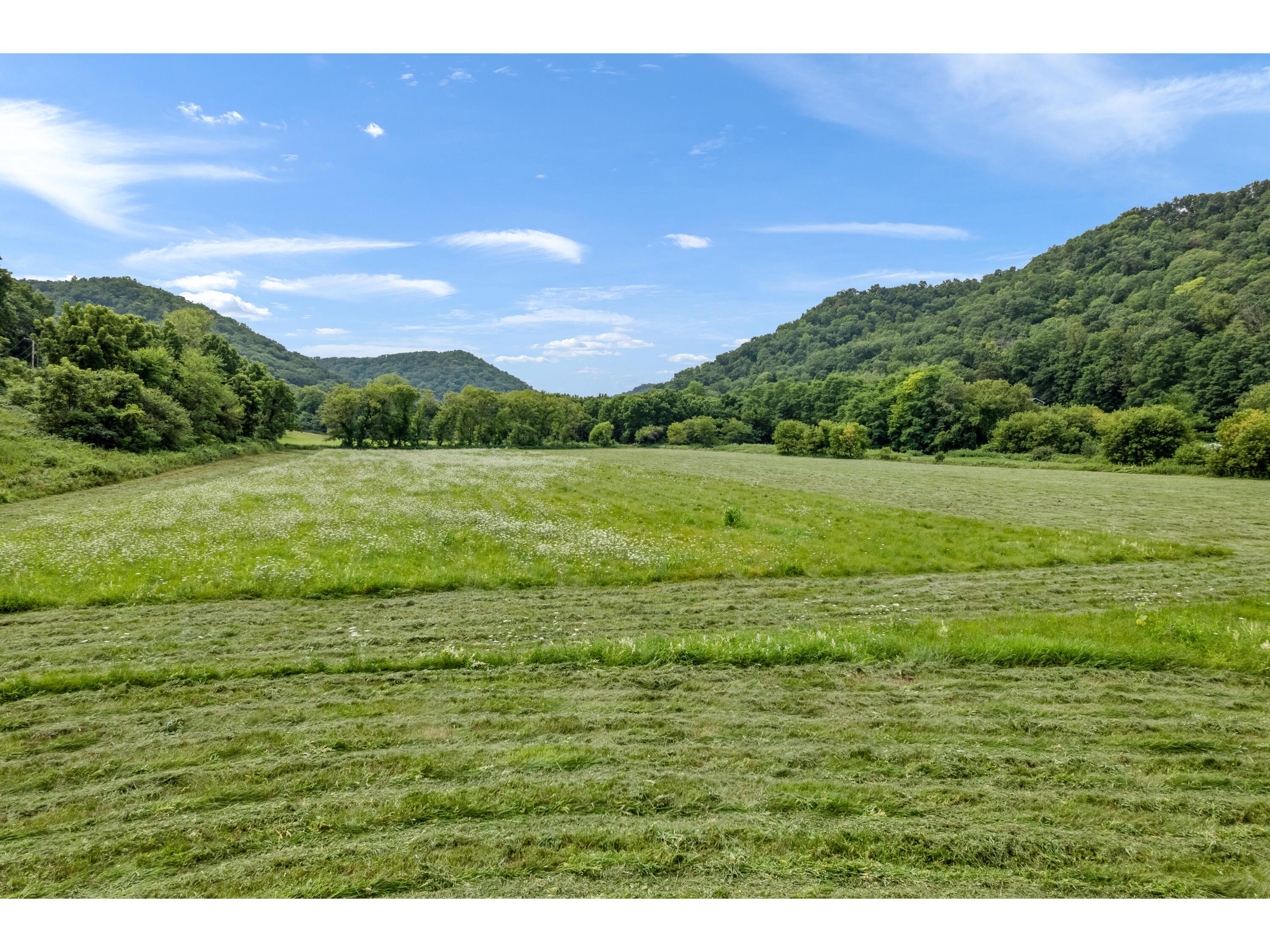 36415 Homer Valley Homer MN 55987 1930646 image8