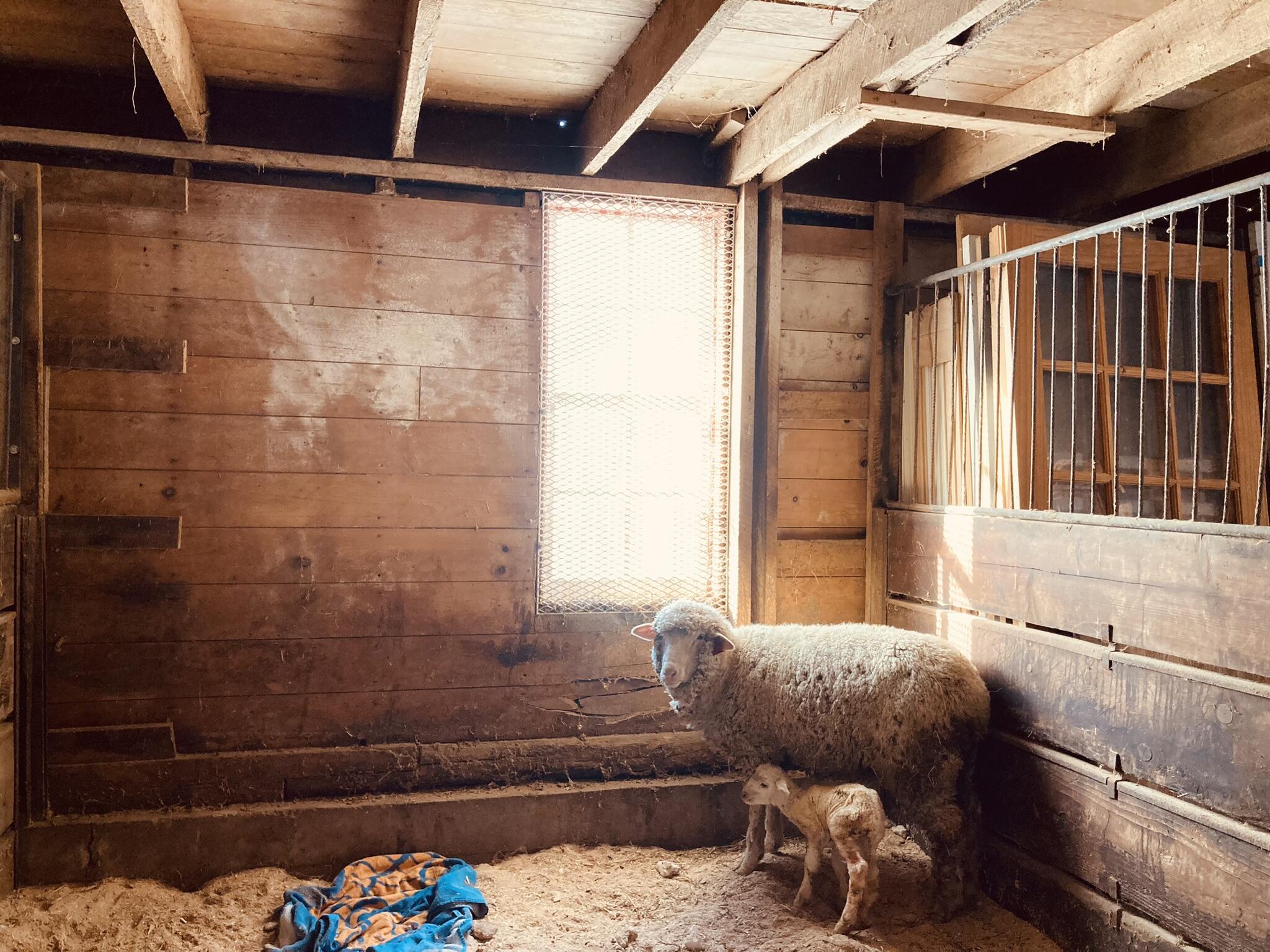 36415 Homer Valley Homer MN 55987 1930646 image81