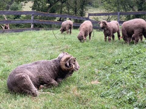 36415 Homer Valley Homer MN 55987 1930646 image83