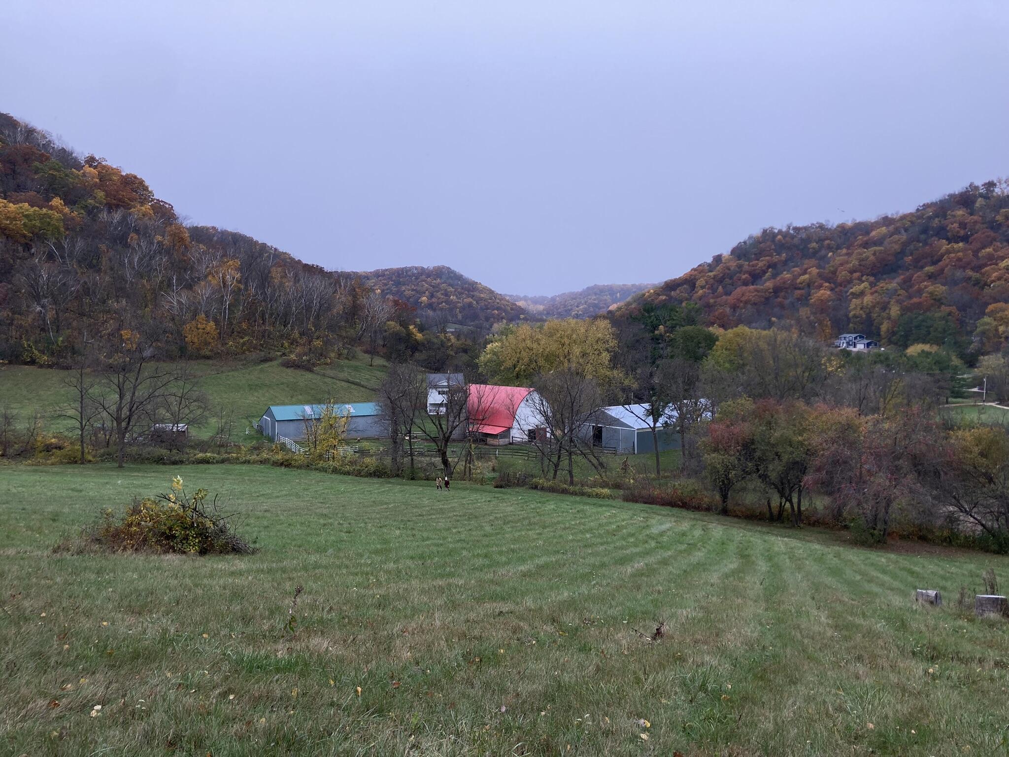 36415 Homer Valley Homer MN 55987 1959555 image88
