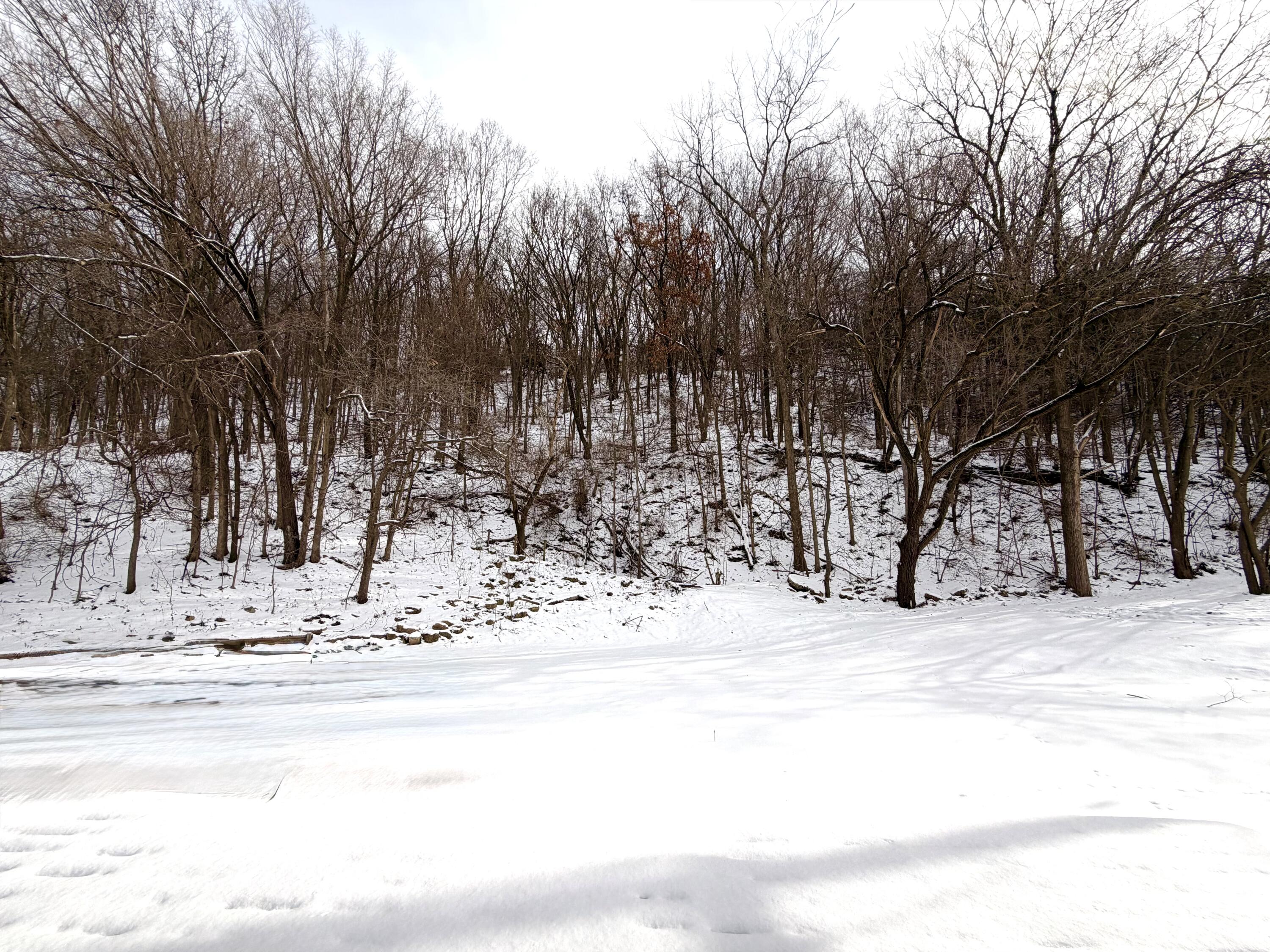 3731 Cliffside Shelby WI 54601 1950885 image23