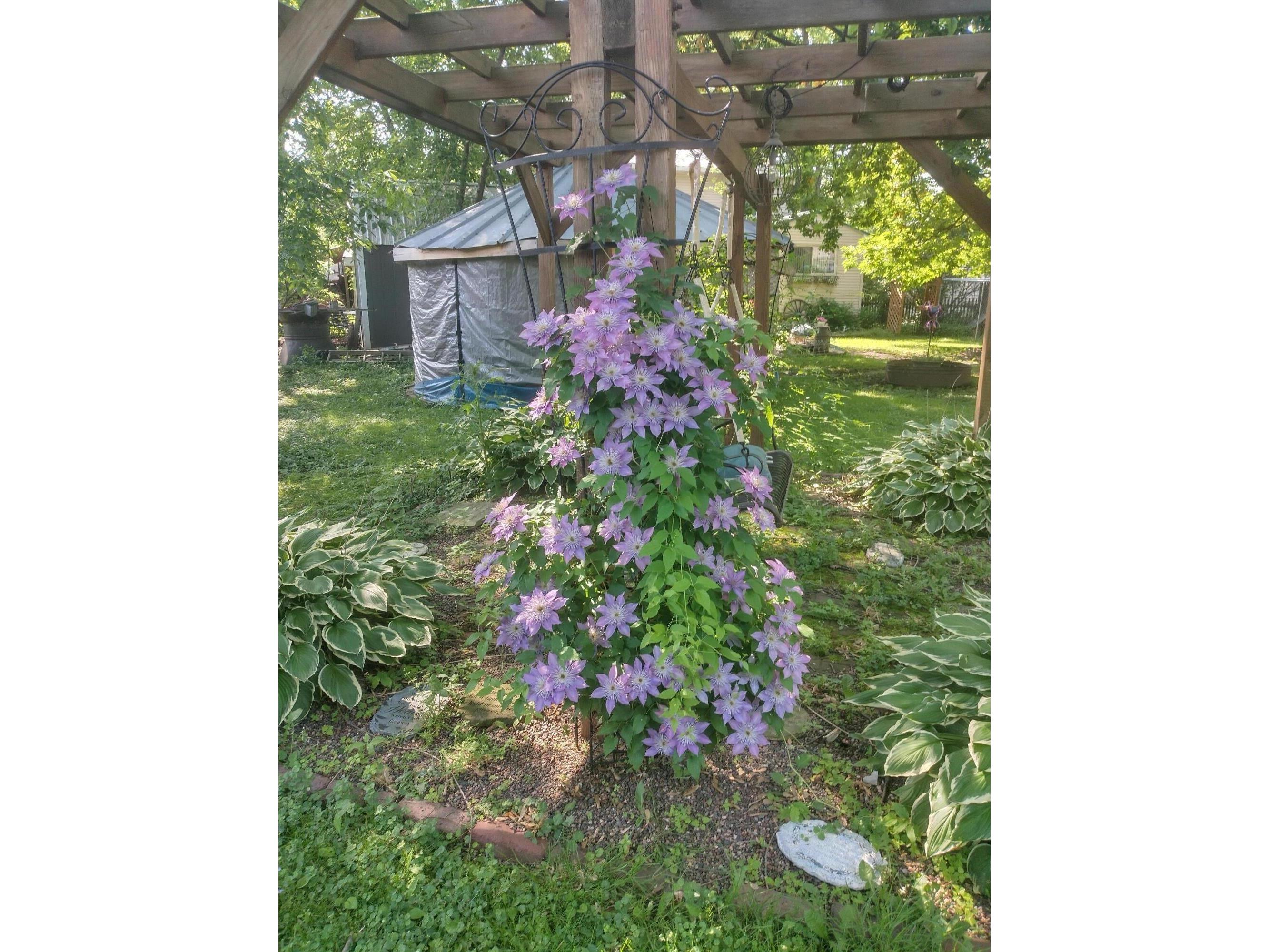 407 Merrill Sparta WI 54656 1952638 image20