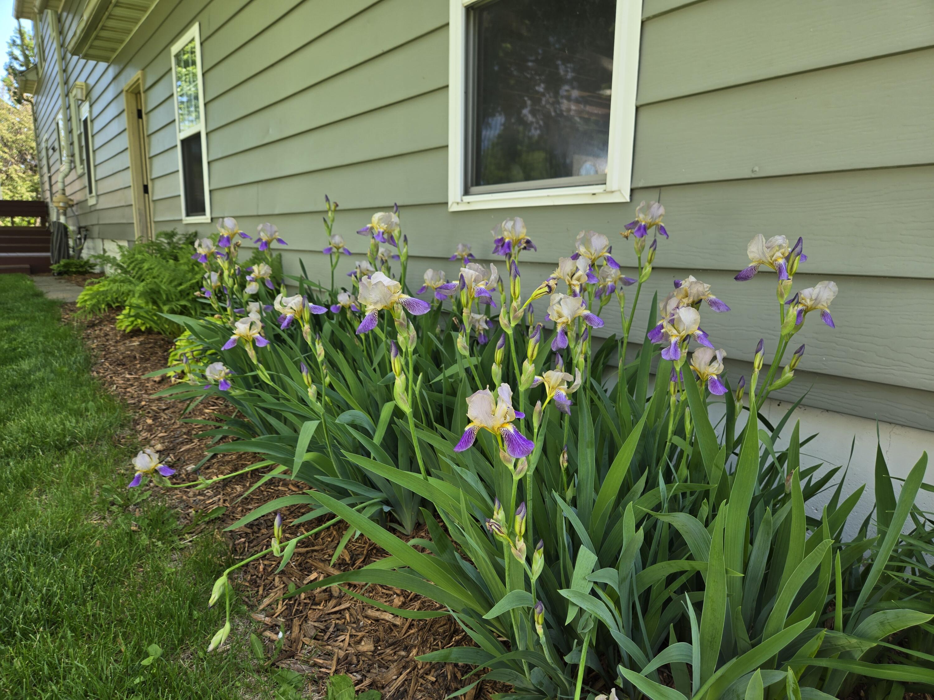 409 Coe Cashton WI 54619 1964882 image4