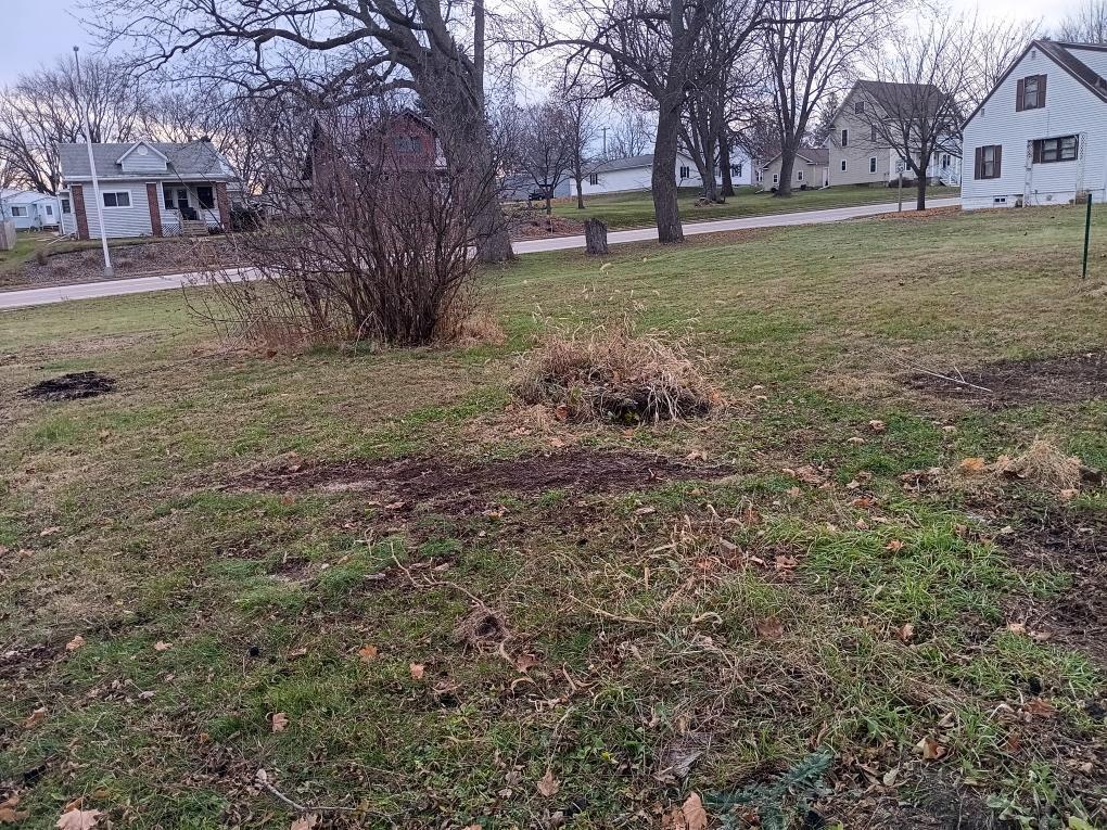 420 South Cashton WI 54619 1944308 image3