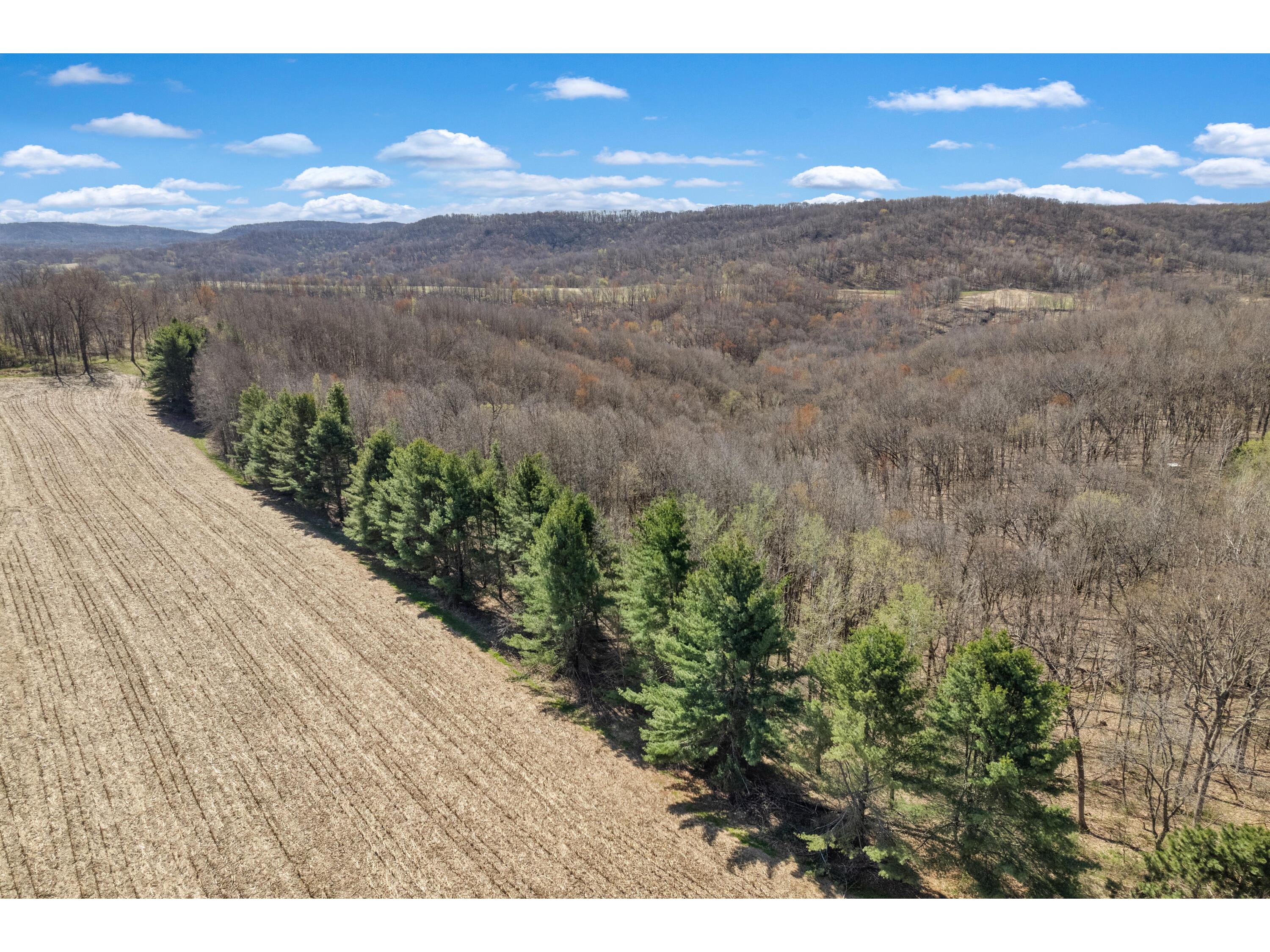 4293 Dallas Little Falls WI 54656 1959410 image33