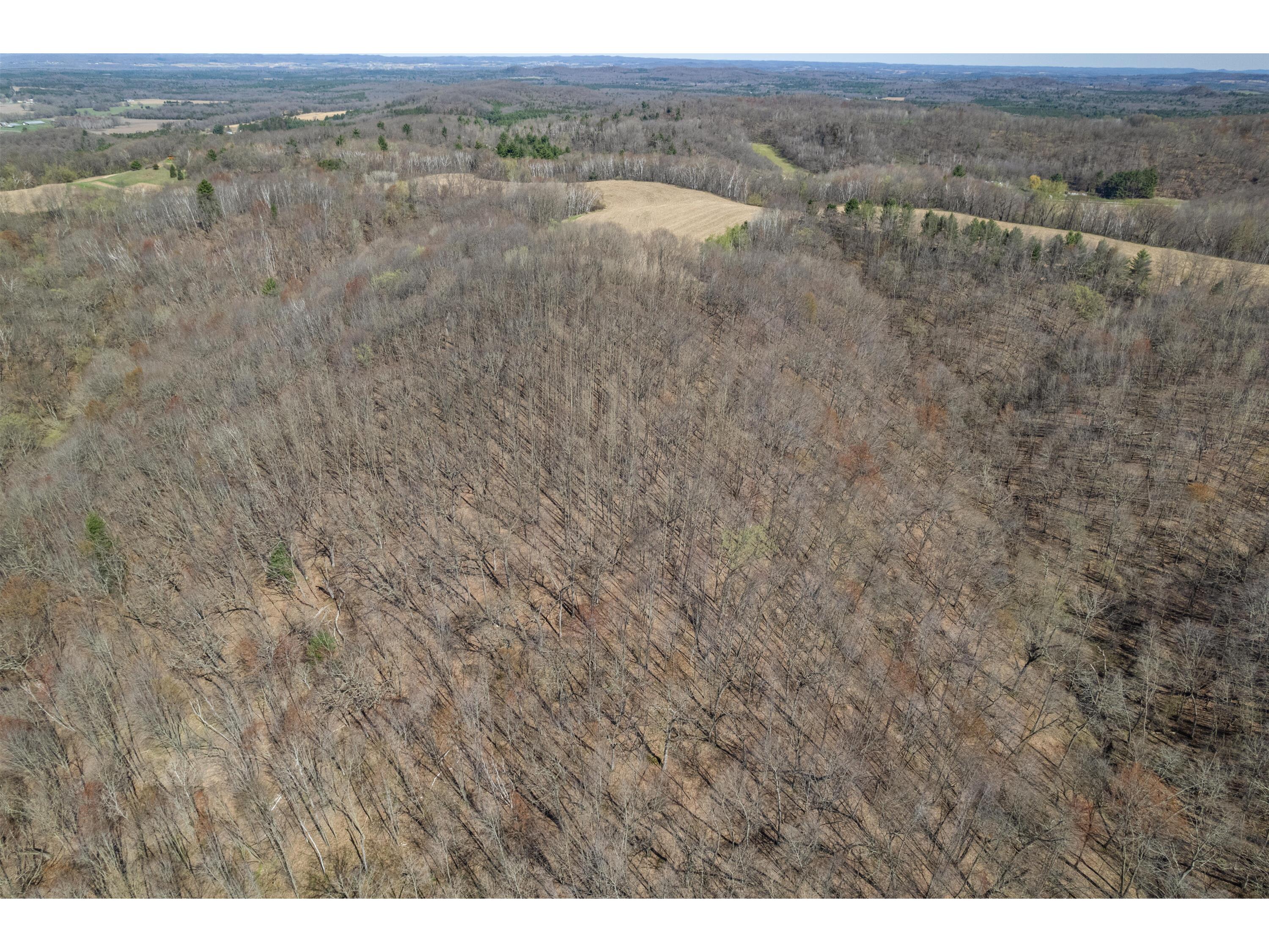 4293 Dallas Little Falls WI 54656 1959410 image38