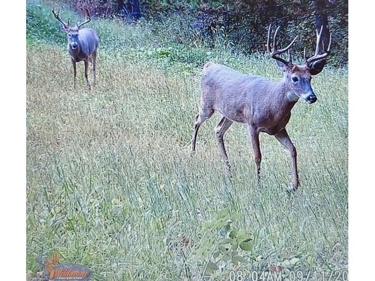 4293 Dallas Little Falls WI 54656 1959410 image46