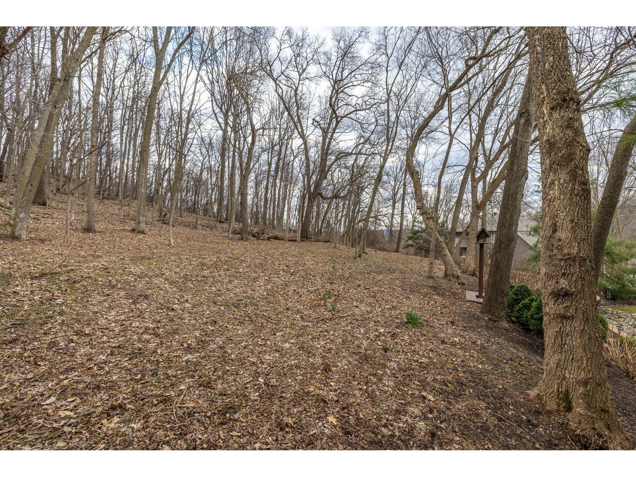 430 Larkspur Onalaska WI 54650 1957884 image31
