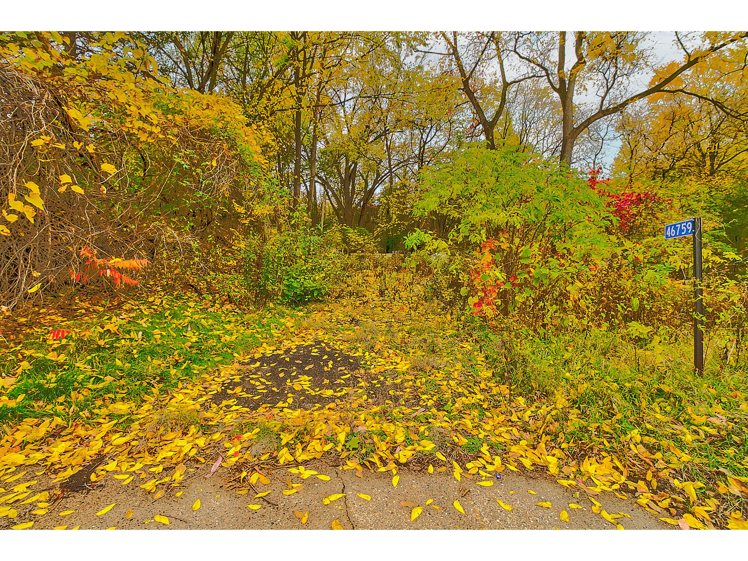 46759 Riverview Dresbach MN 55947 1855724 image1