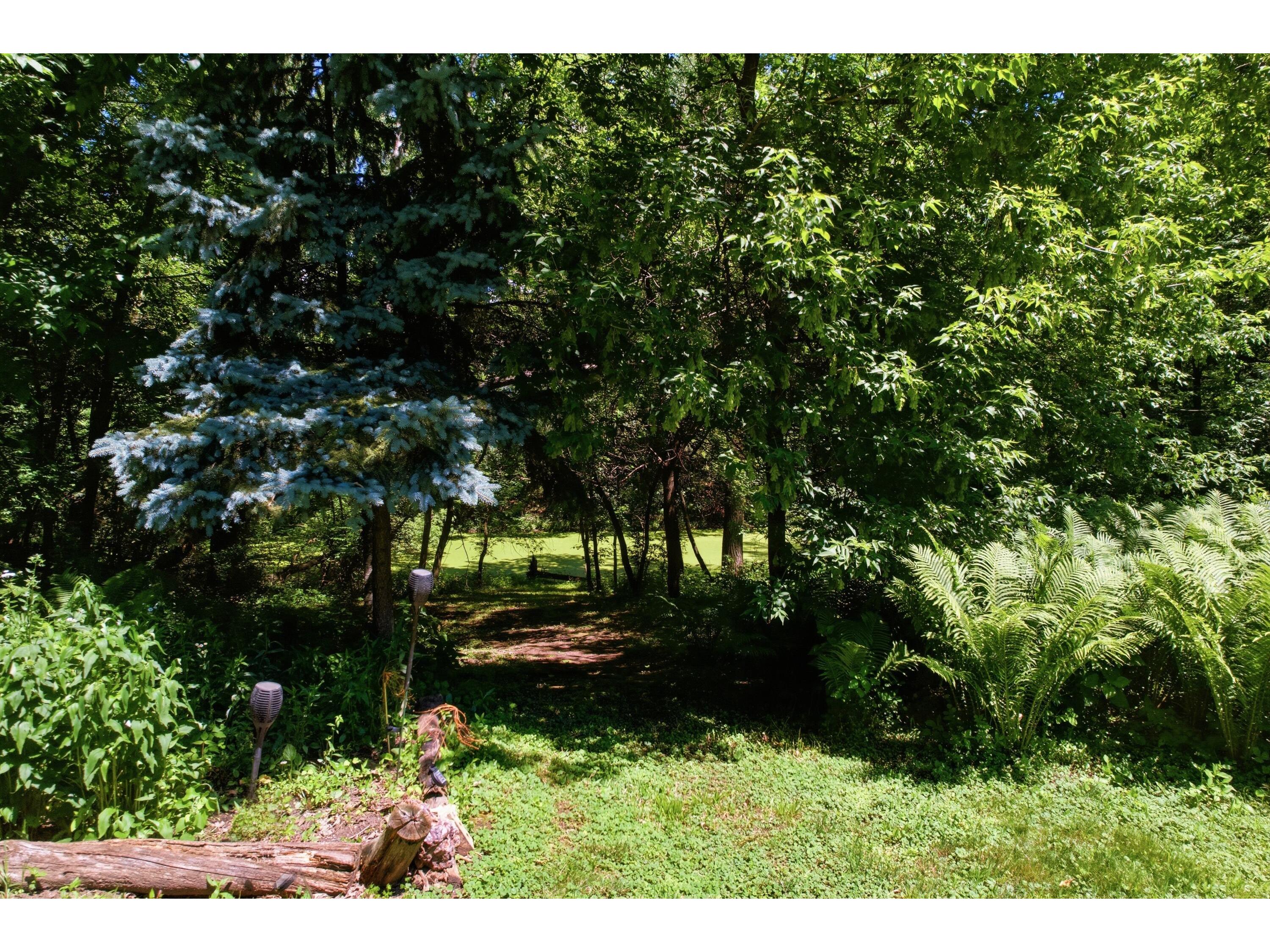 47060 Queens Cove Dresbach MN 55947 1968928 image50