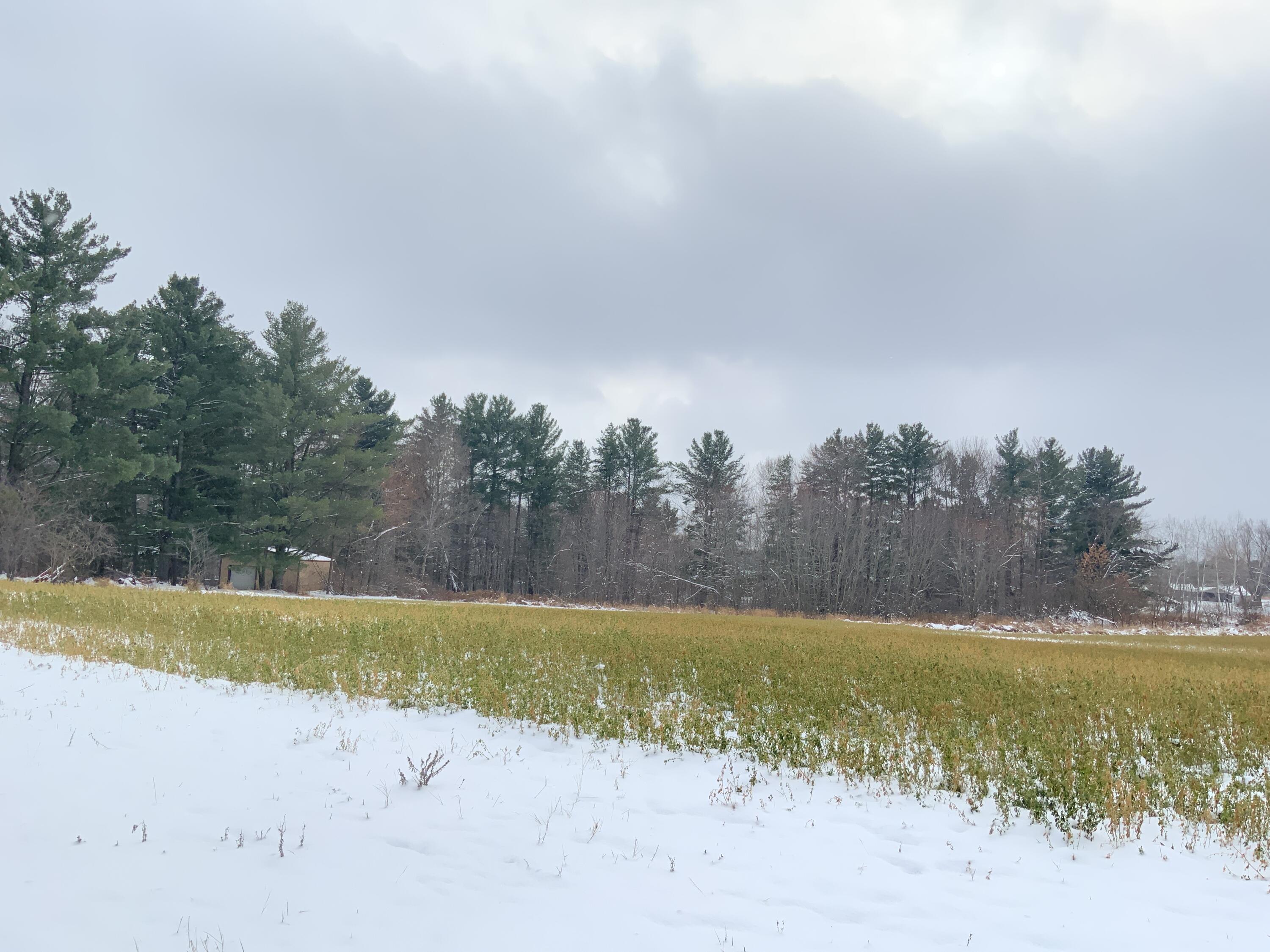 0 State Highway 73 Pine Valley WI 54456 1818914 image1