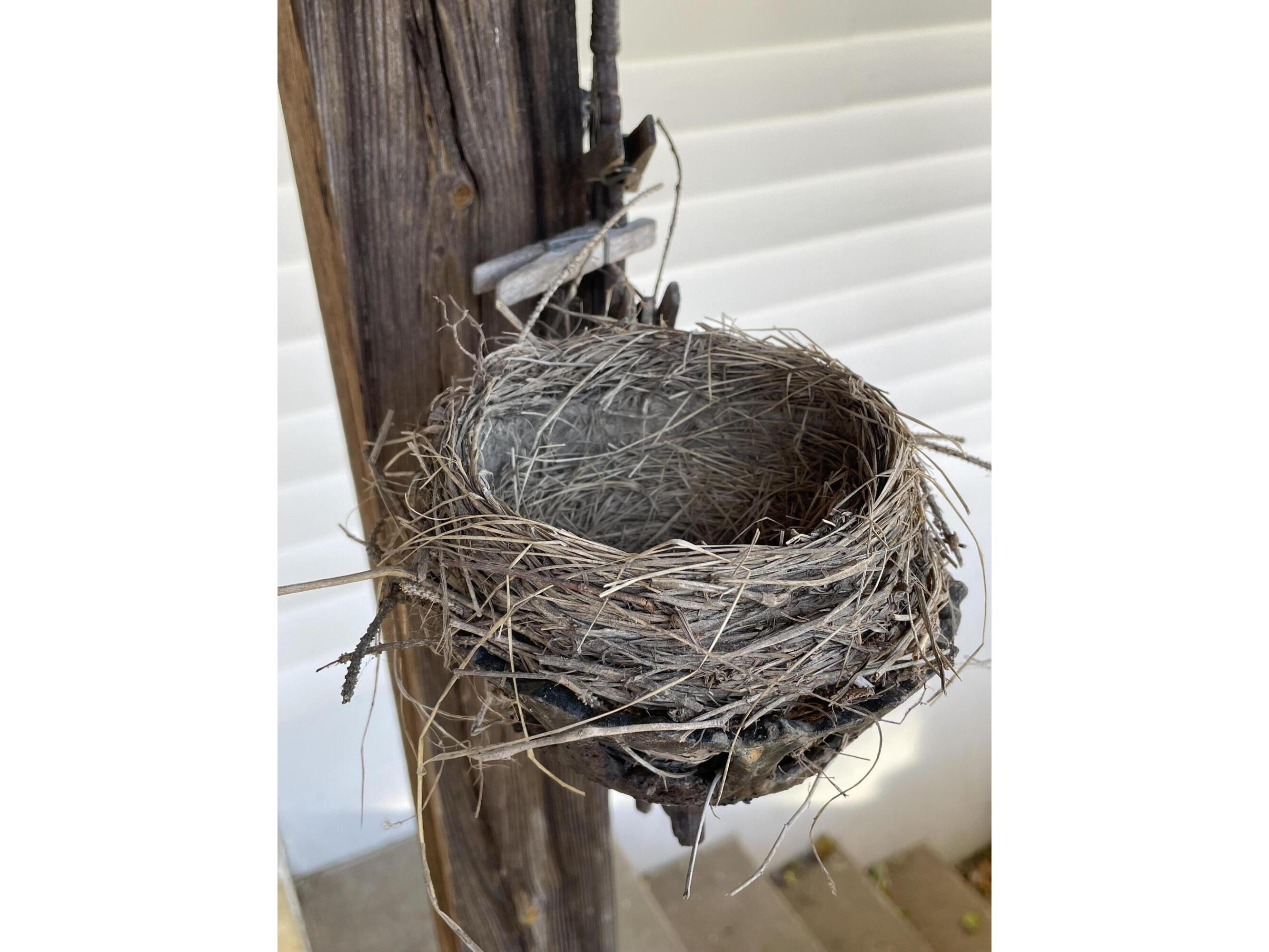 N5056 State Road 162 Burns WI 54614 1941863 image48